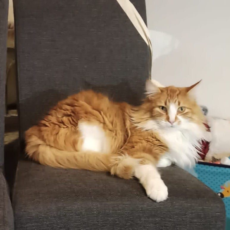 Roucky - Rue des Blanches Pierres, Sainte-Ode