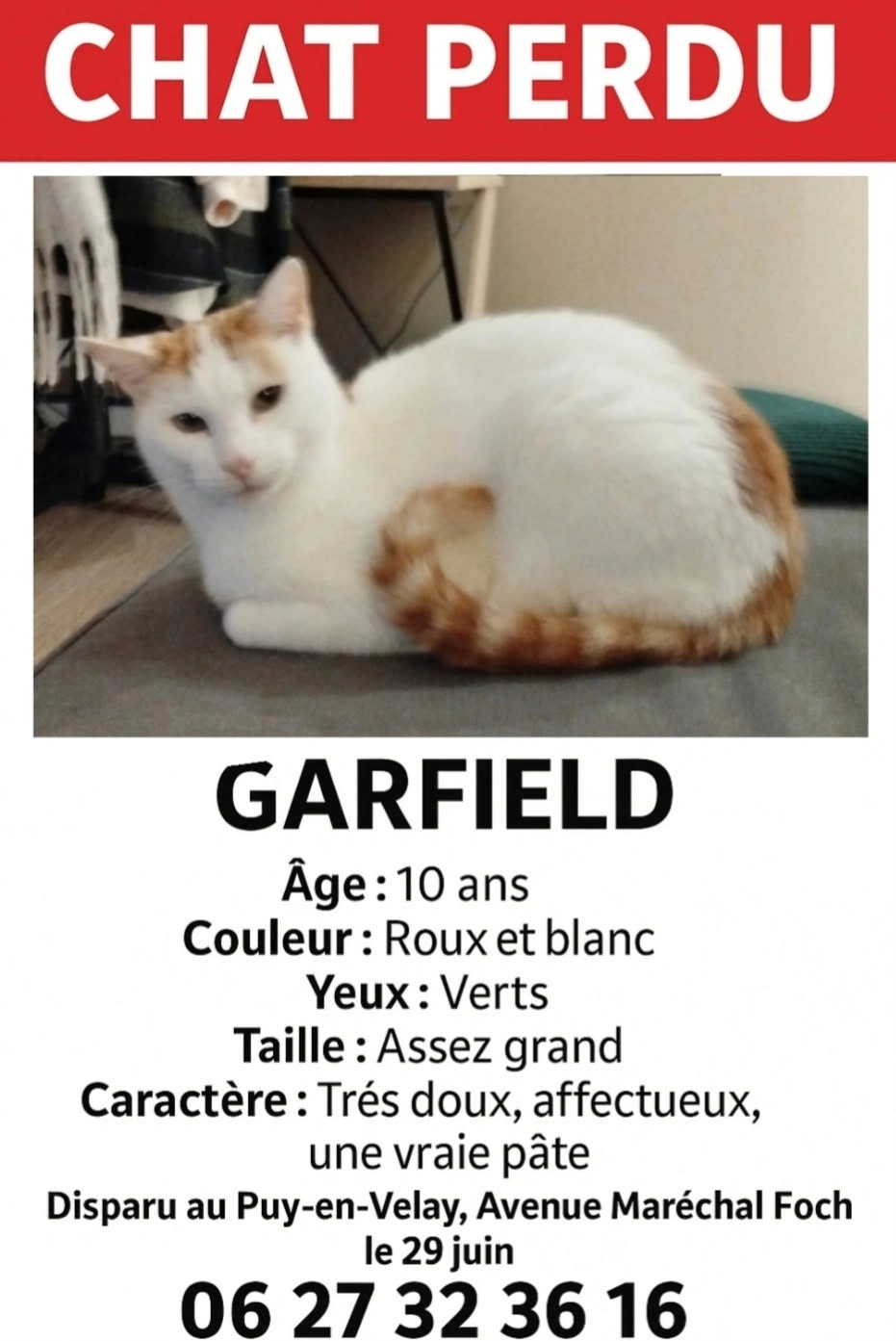 Garfield  - 134 Avenue Maréchal Foch, Le Puy-en-Velay