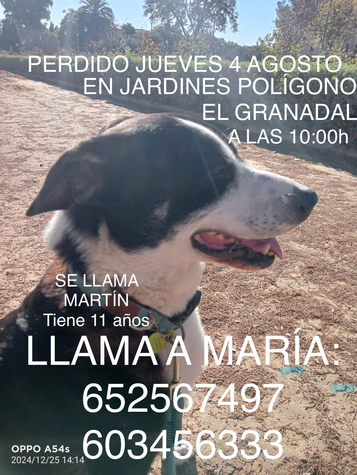 Martín  - Pasaje del Granadal, Córdoba