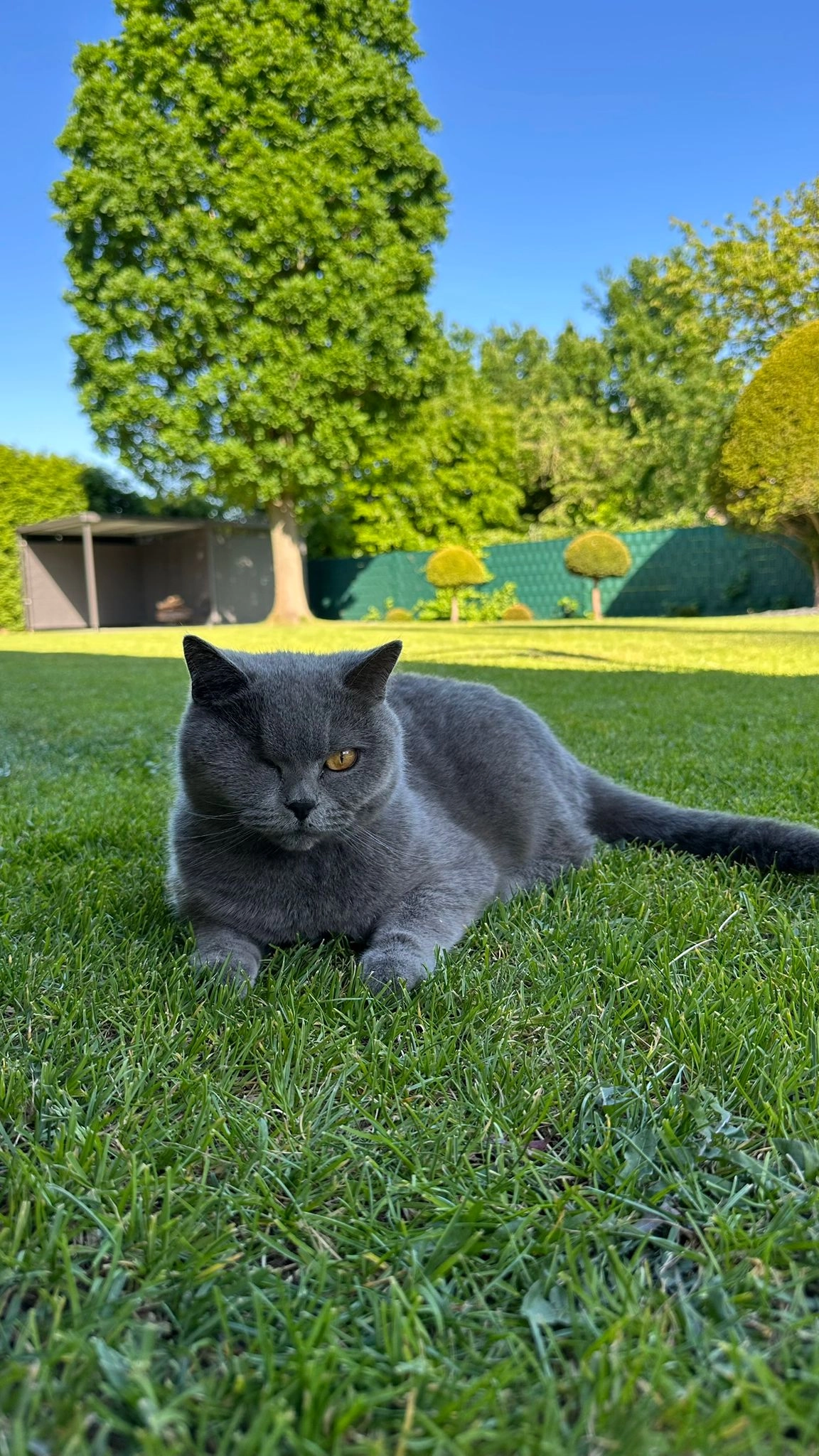 Carlo - Steinstraße, Willich