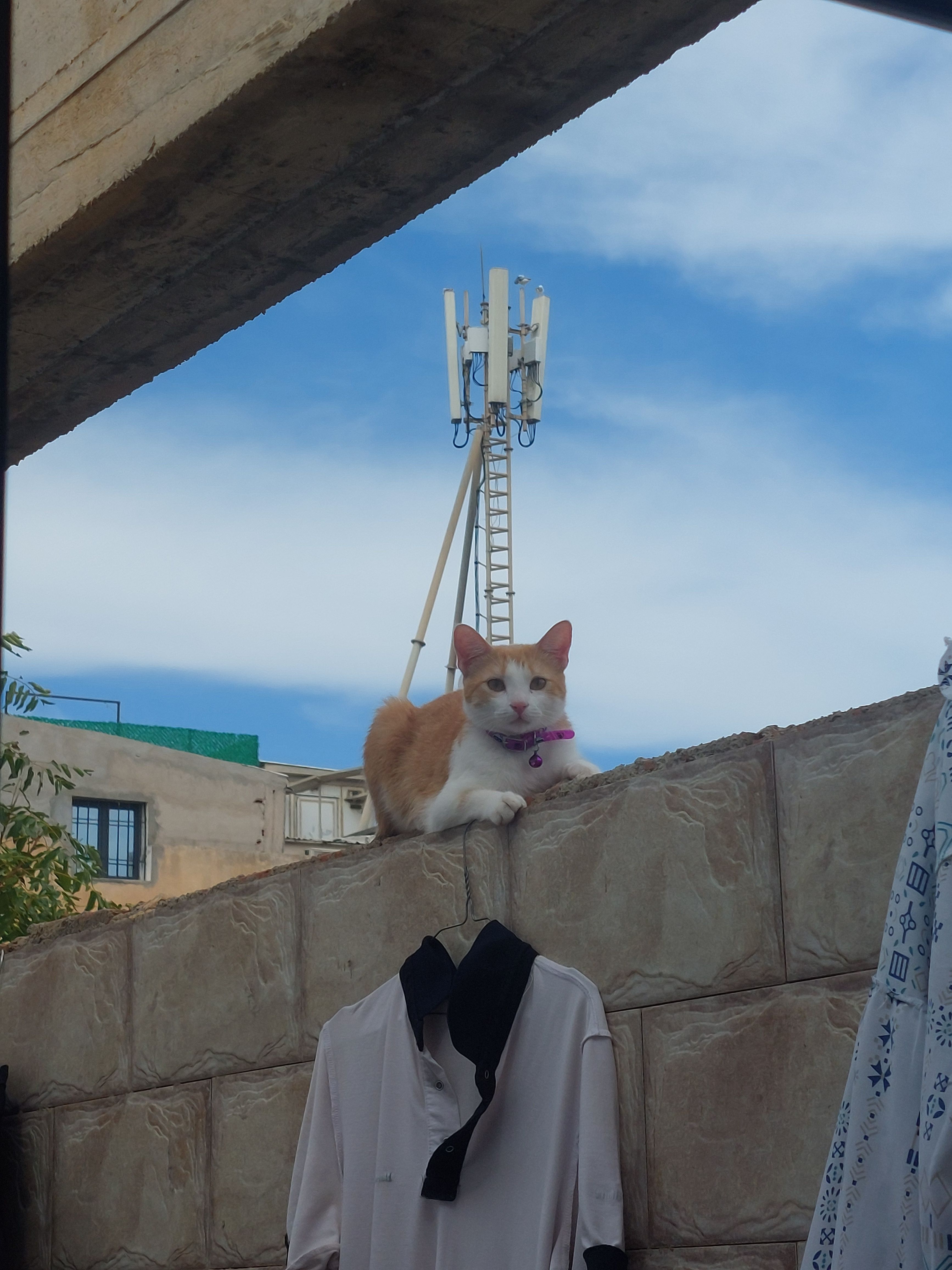 Tia - 16, Bordj El Kiffan