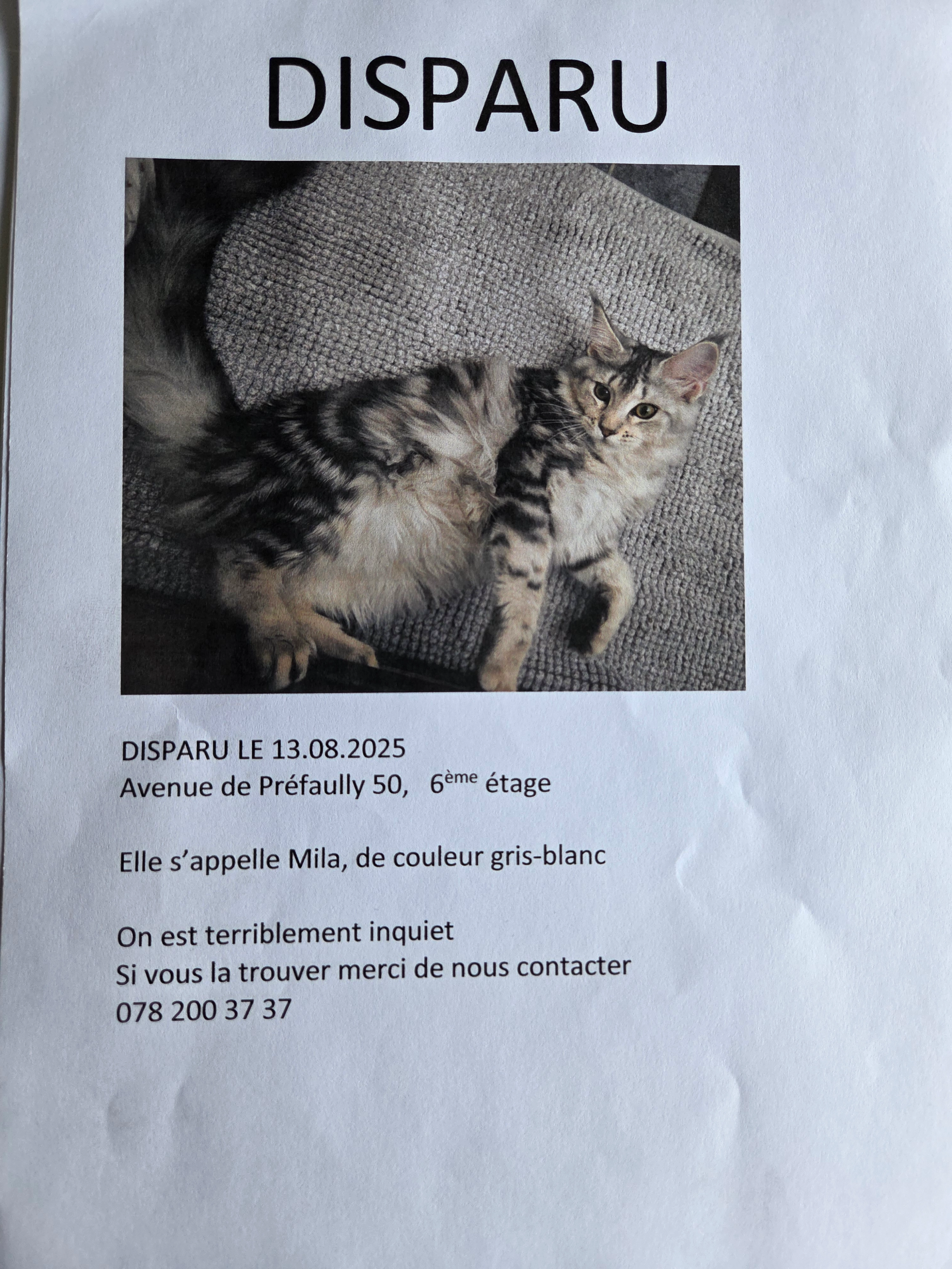 Mila - Avenue de Préfaully 50, Renens