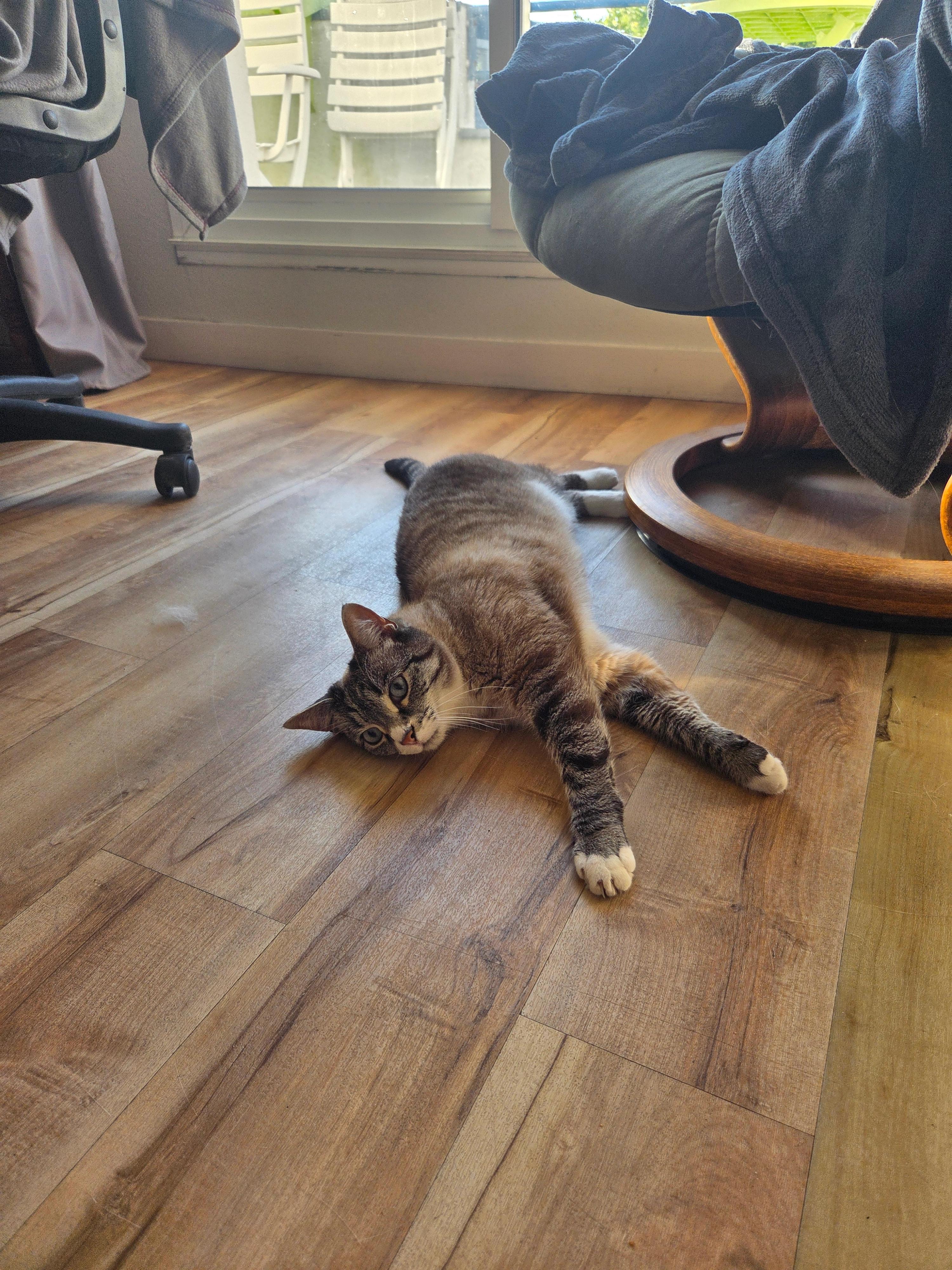 Pixel - 11 Rue Gabriel Péri, Nantes