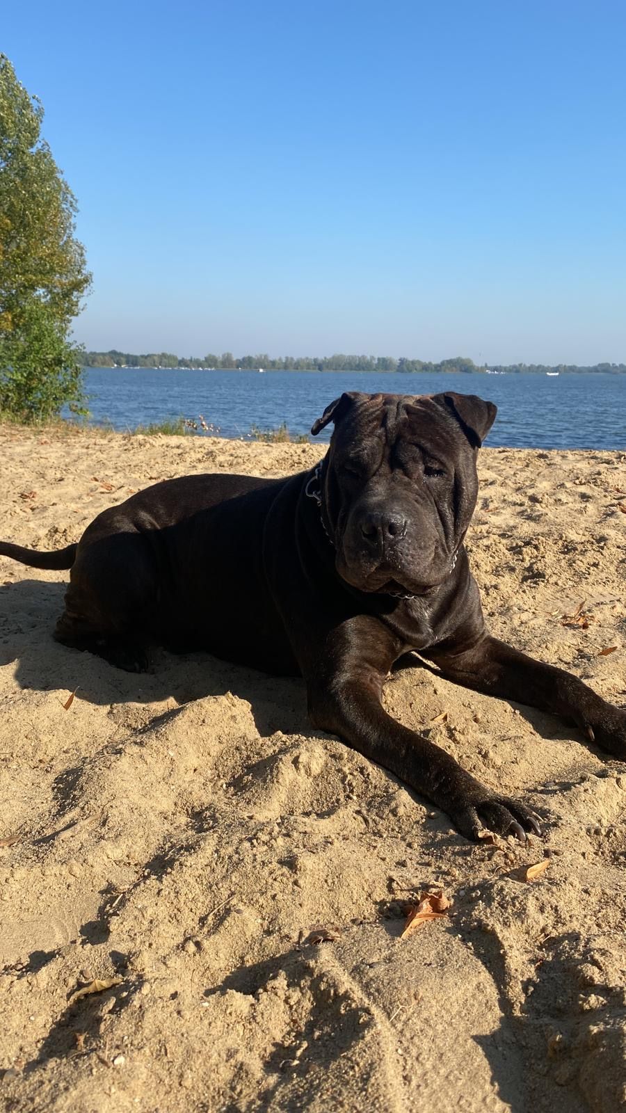 Babo - 14774, Brandenburg an der Havel