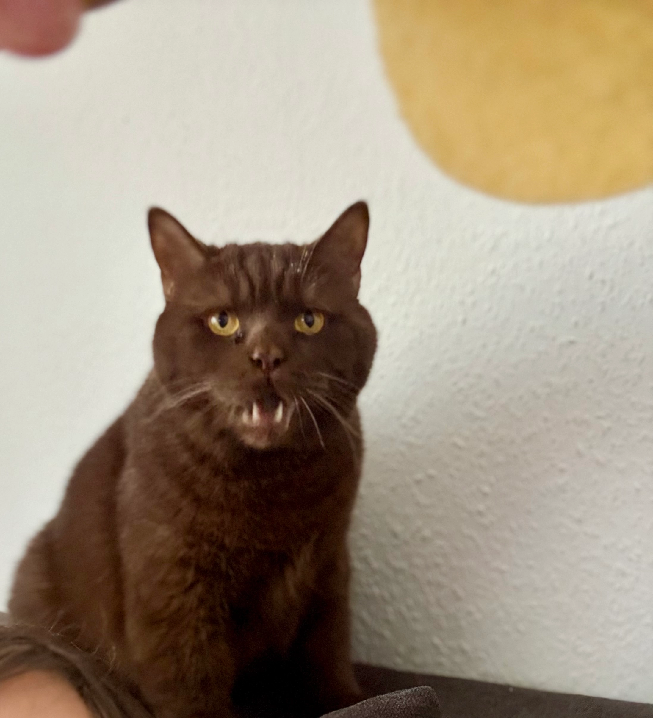 Bruno - Buchbergstraße, Hanau