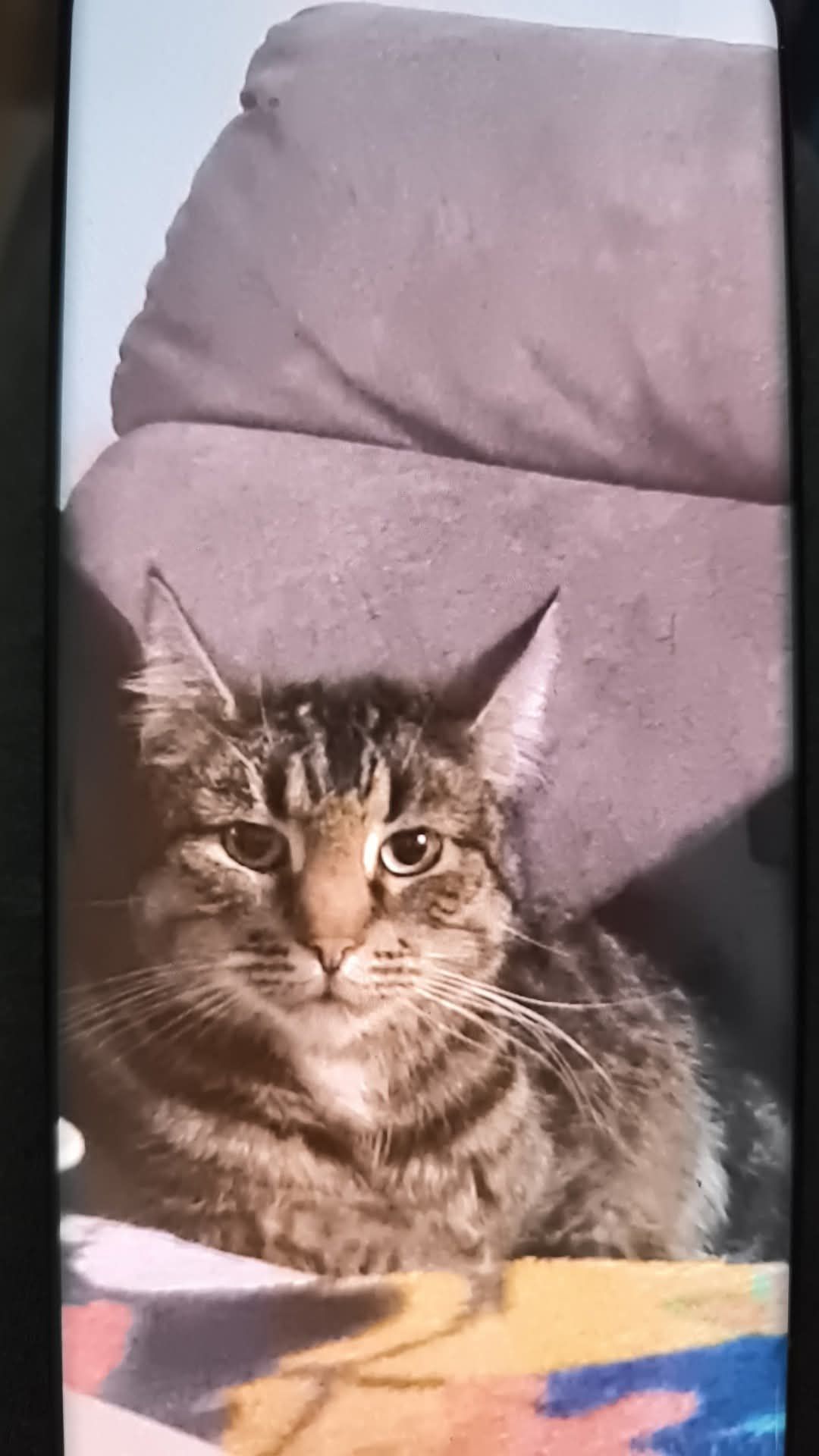 Fred - Rollstraße, Clausthal-Zellerfeld