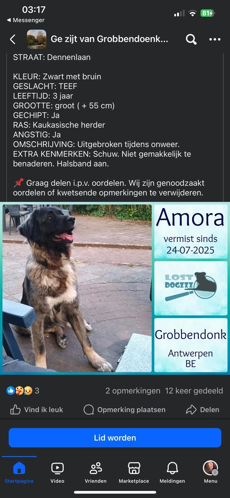 Amora  - Dennenlaan, Grobbendonk