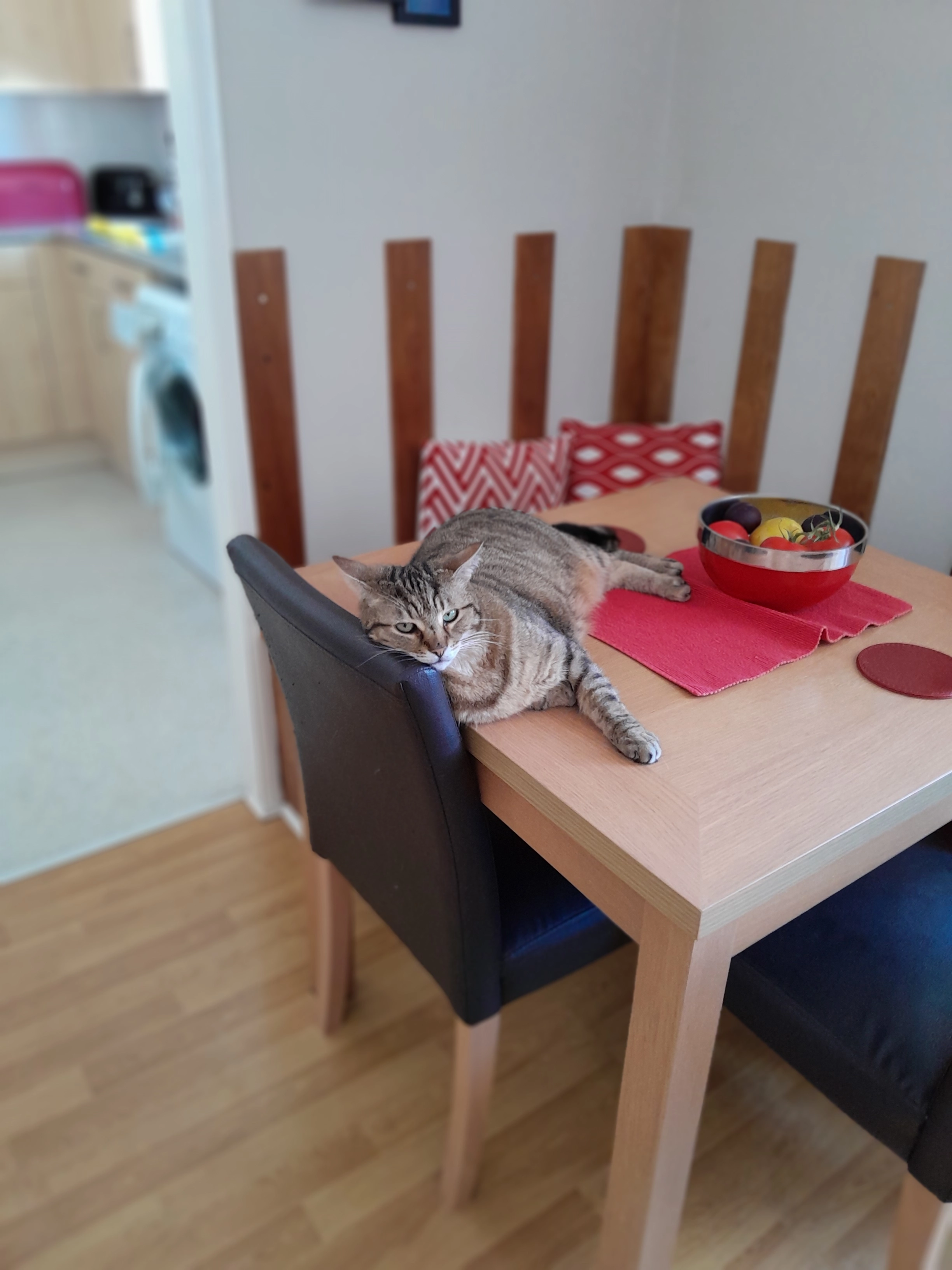 Tiger or Tigi - Bridge Street, Oxford