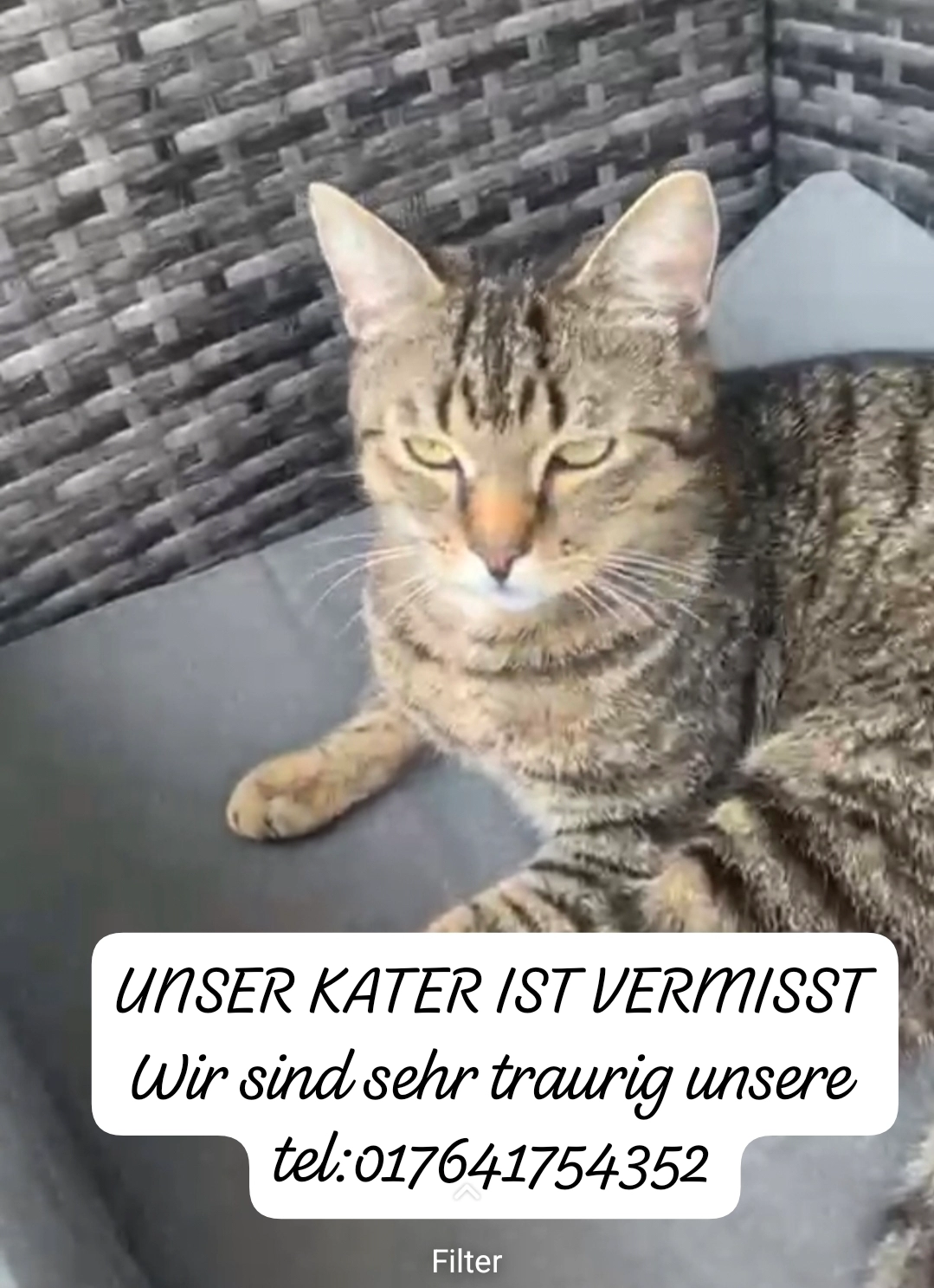 Cosmo - Goethestraße, Weinheim