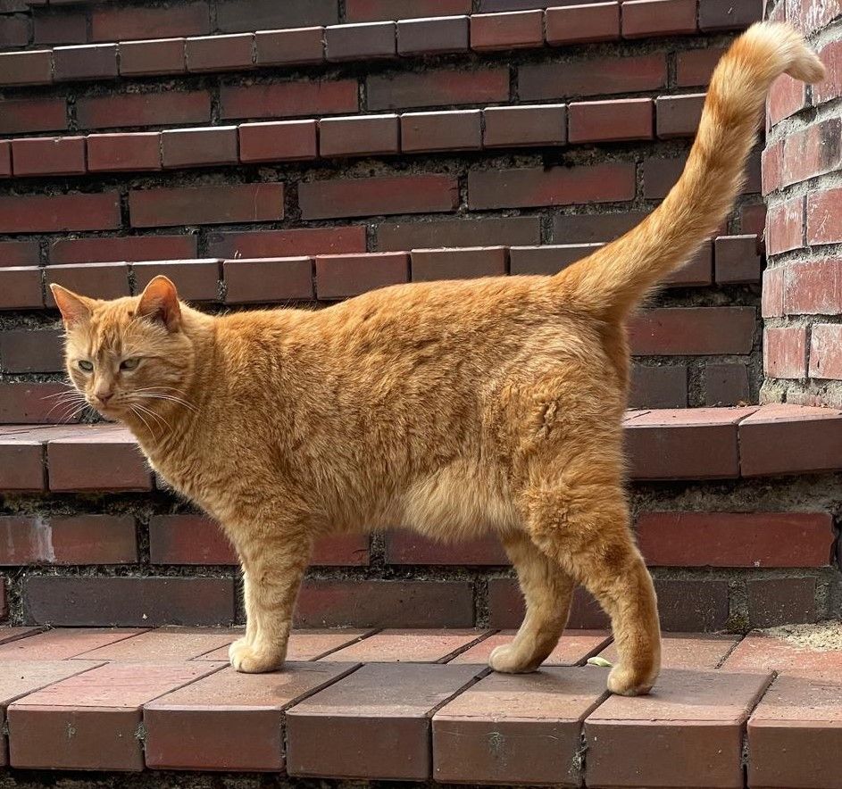 Paula - Podendorf, Moisburg