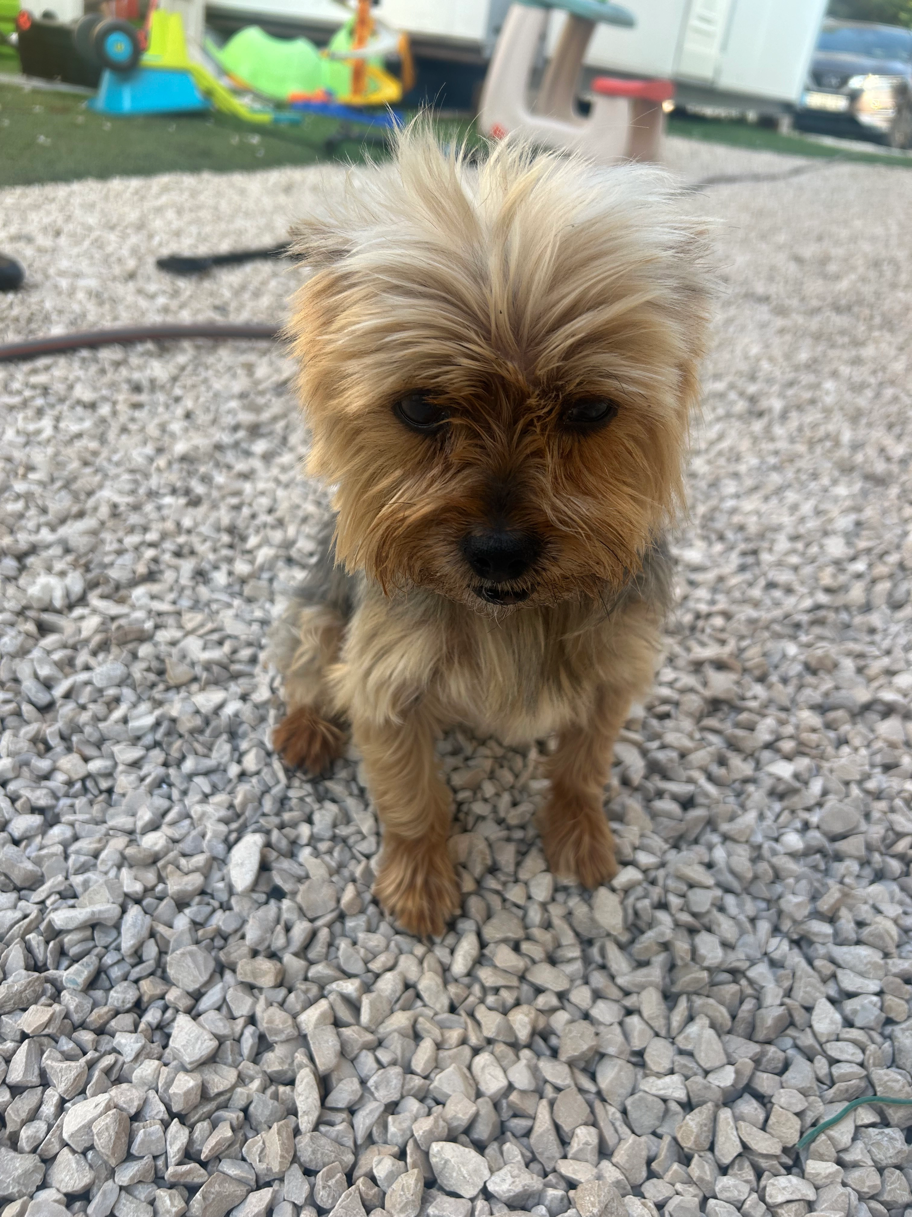 Bijou - 448 Chemin du Littoral, Marseille