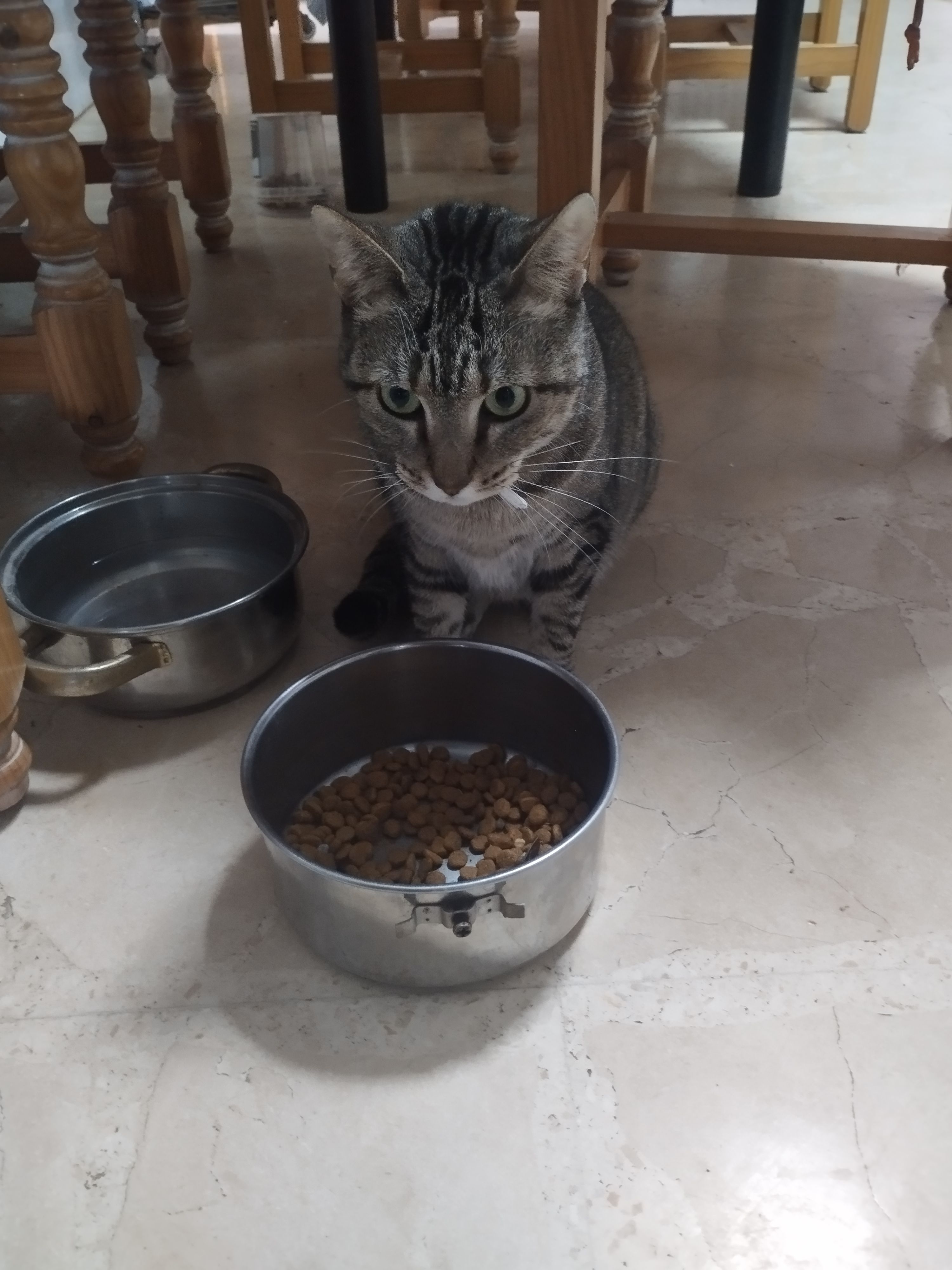 Yumara - Calle del Clarinete, Málaga