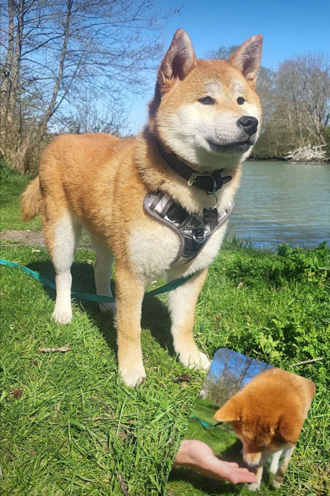 Valko - 6 Rue du Dauphin, Nangis