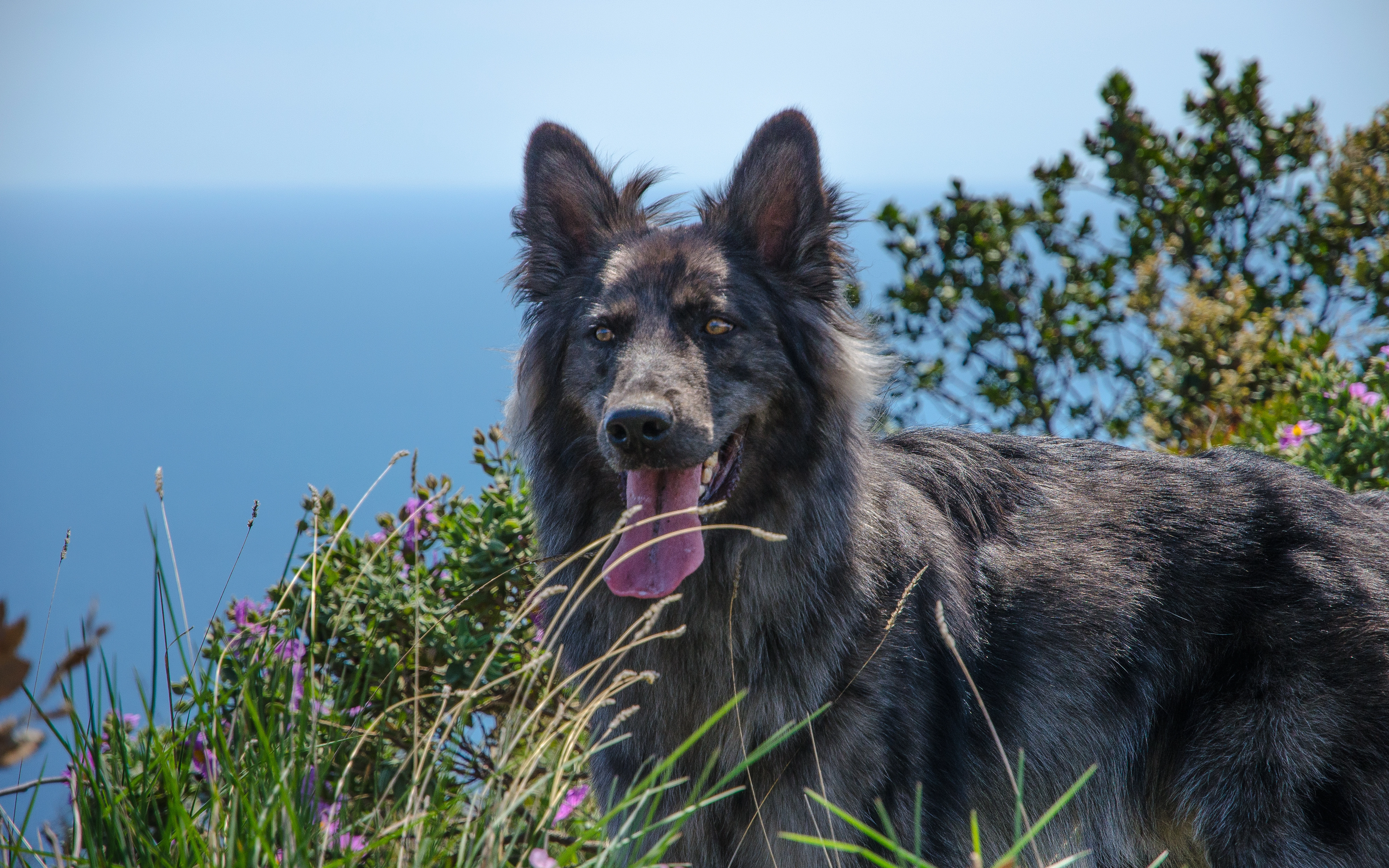 Bandì - Route nationale 26 de la Vallée d'Aoste, Pré-Saint-Didier