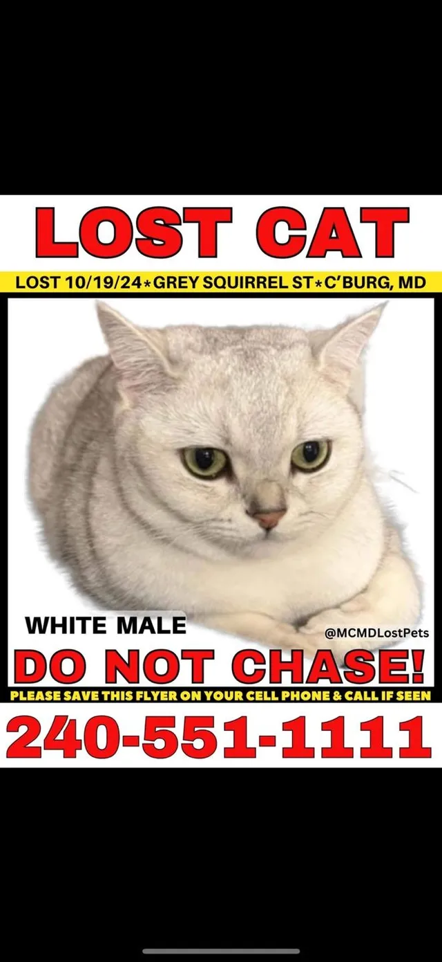 Cream - 12156 Grey Squirrel St, Clarksburg