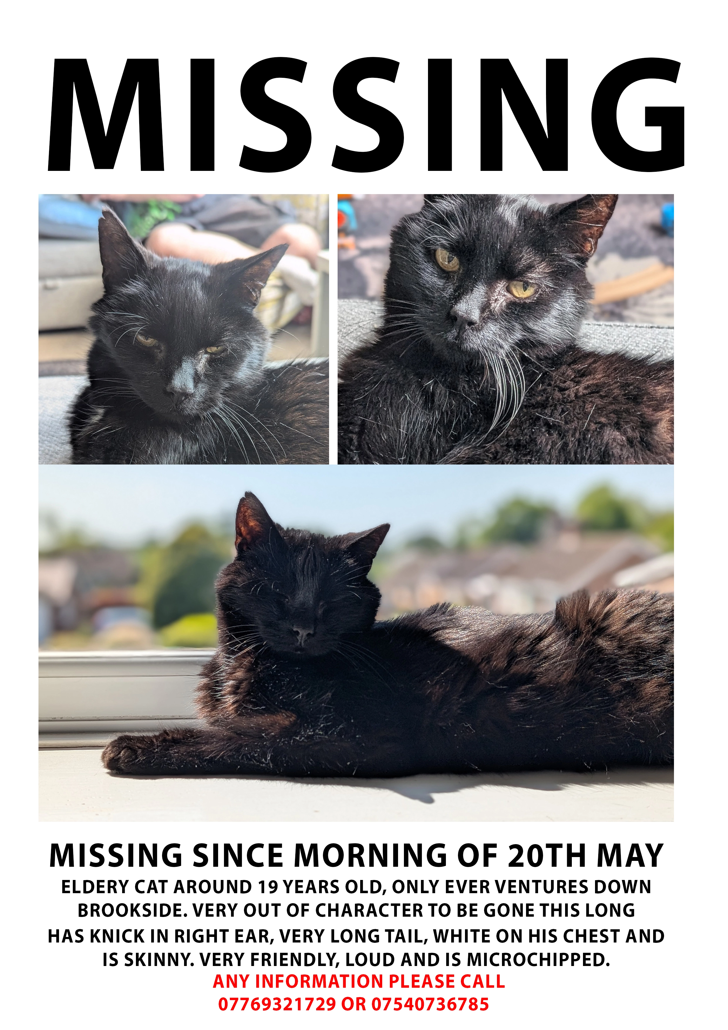 domino  - Brookend Lane, Worcester