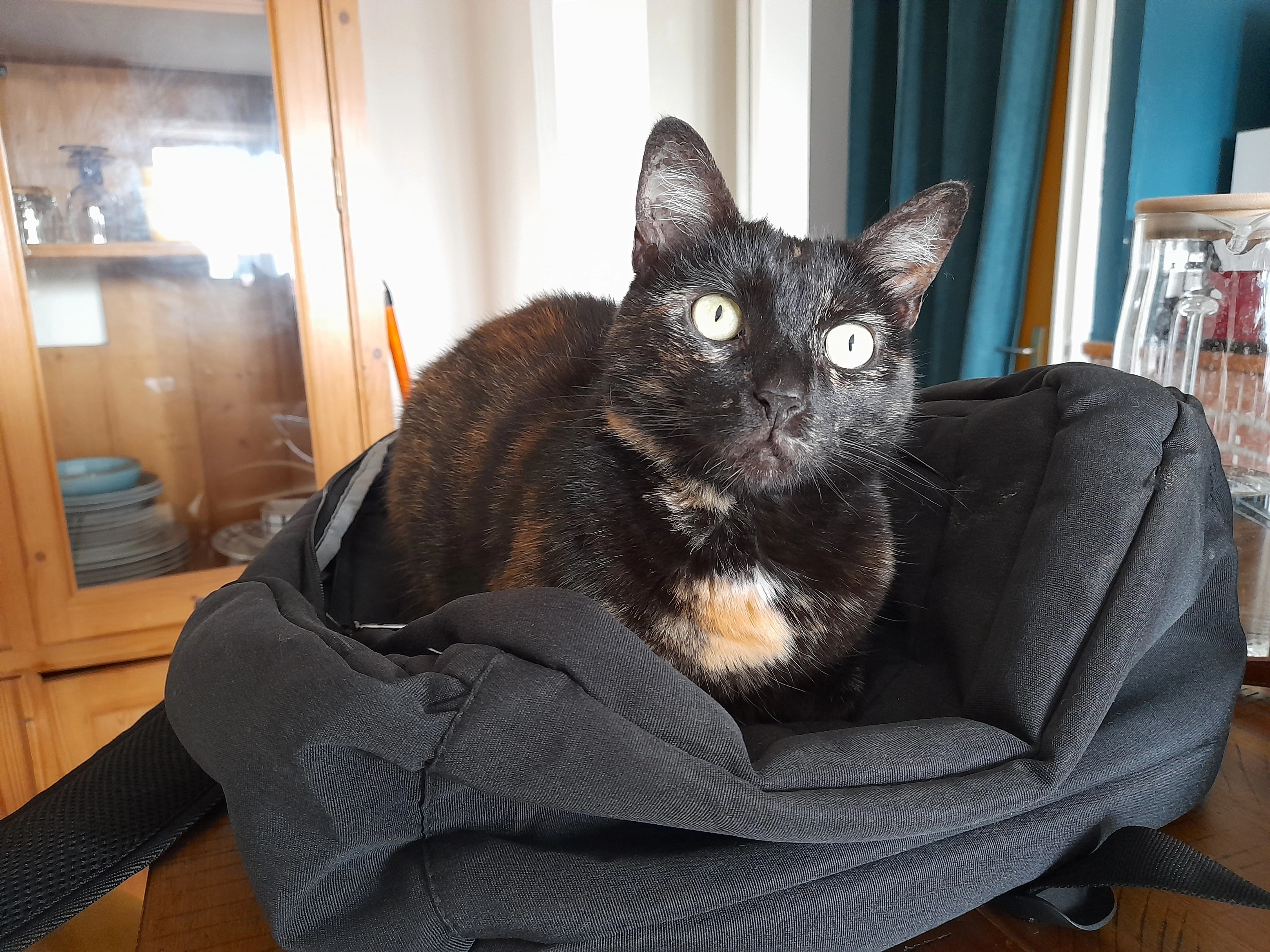 louve - 34 Rue des Trois Maisons, La Bassée