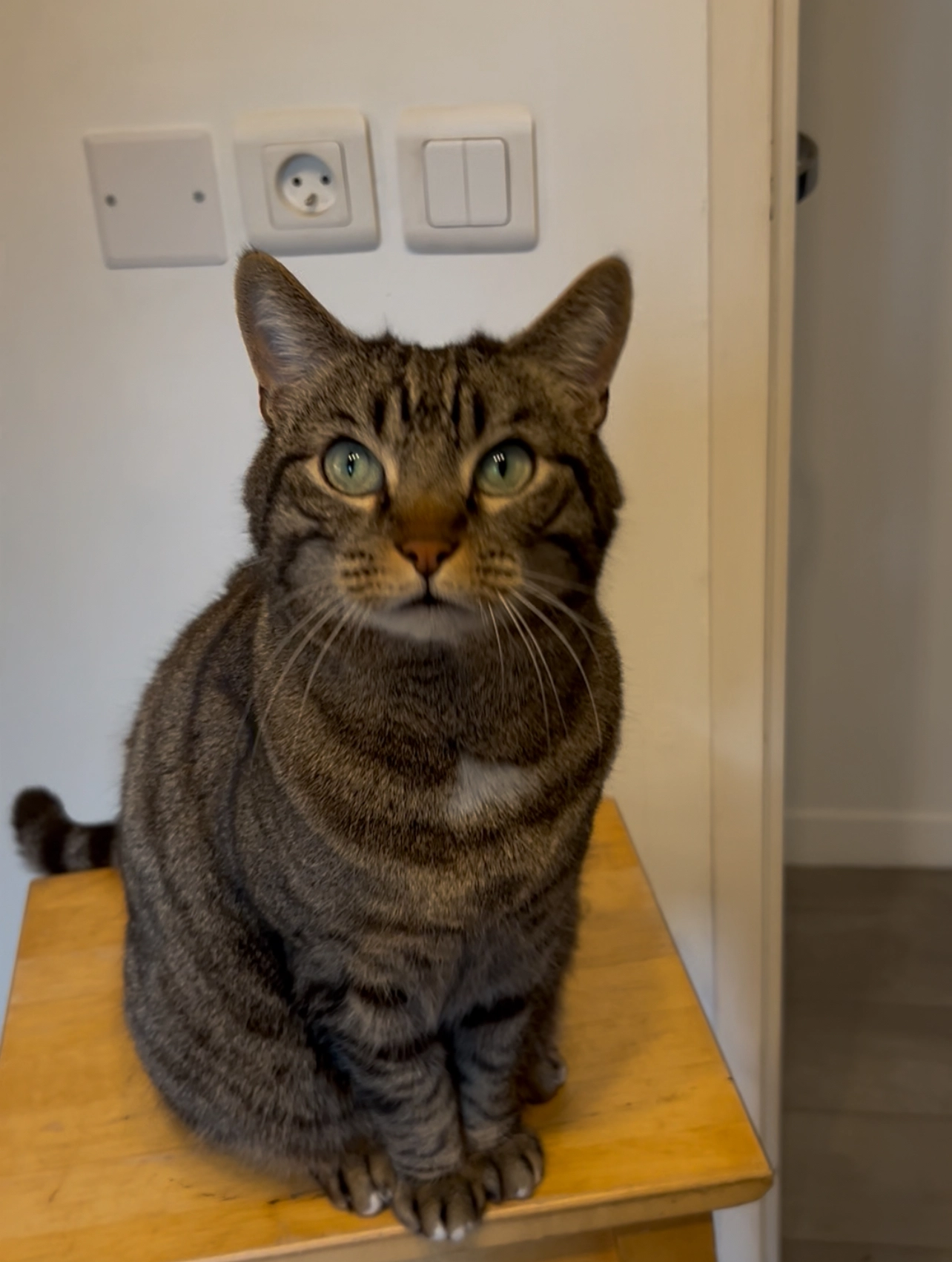 Potillon - 16 Rue Louise Bourgeois, Choisy-le-Roi