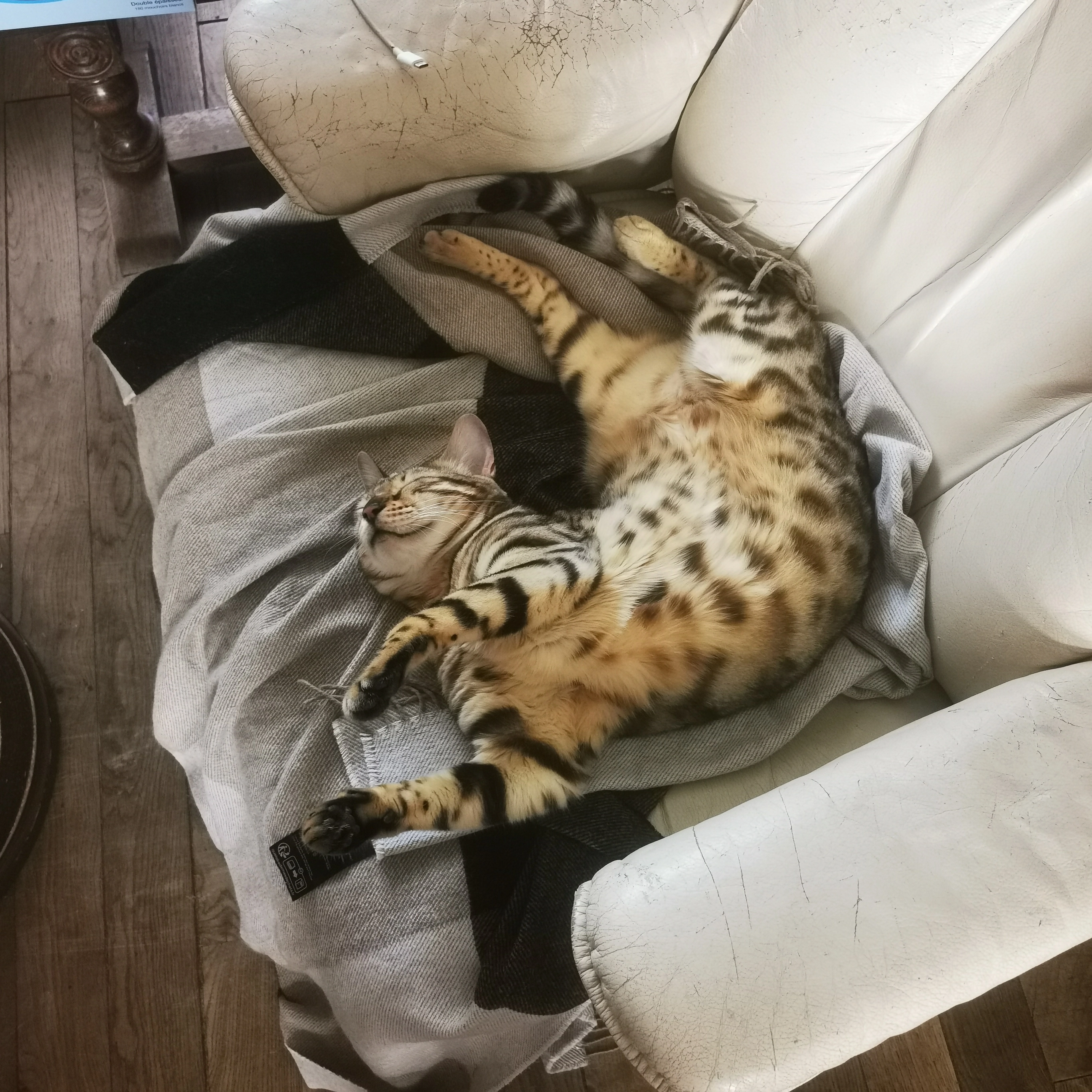 Sekmet - 6 Rue de la Liberté, Esbly