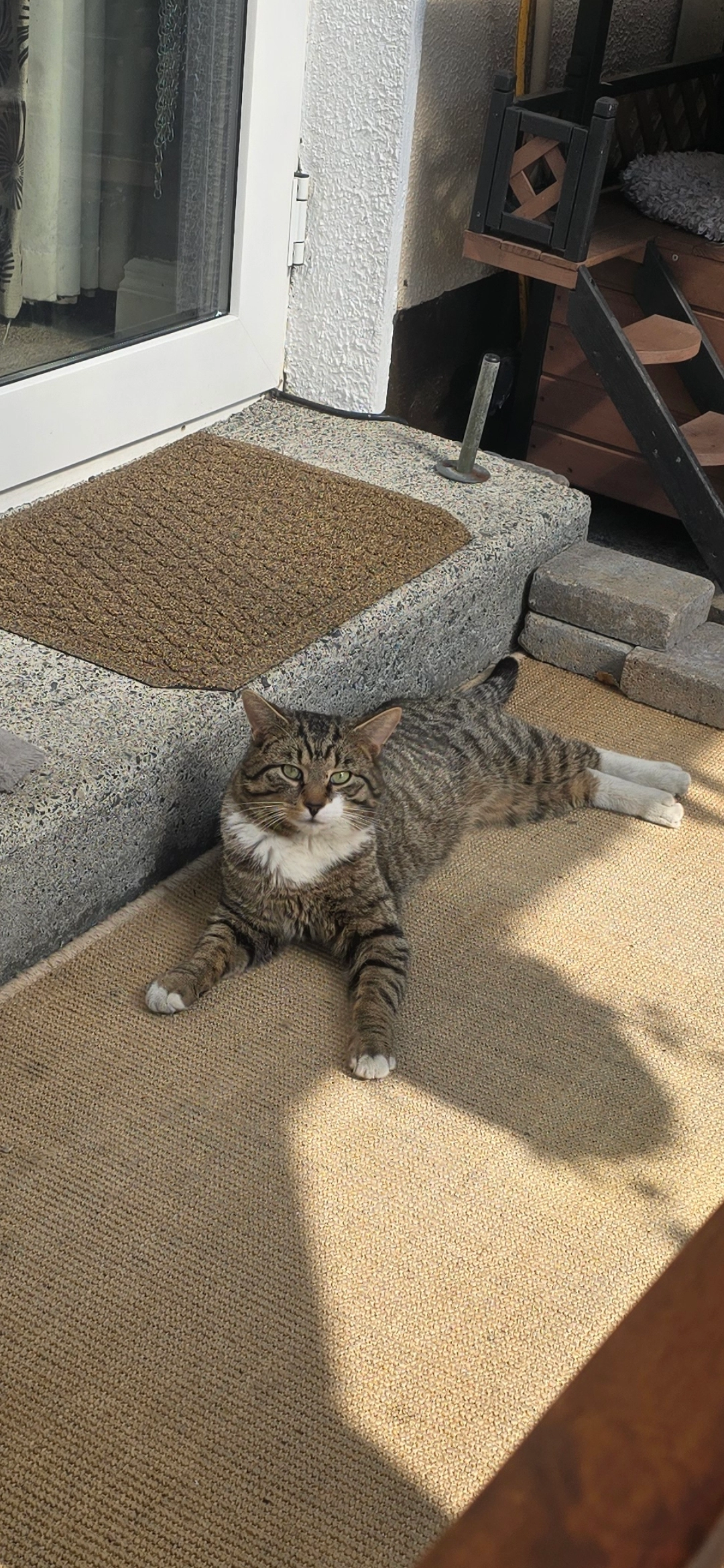 Gizmo - Weir Road, Tuam