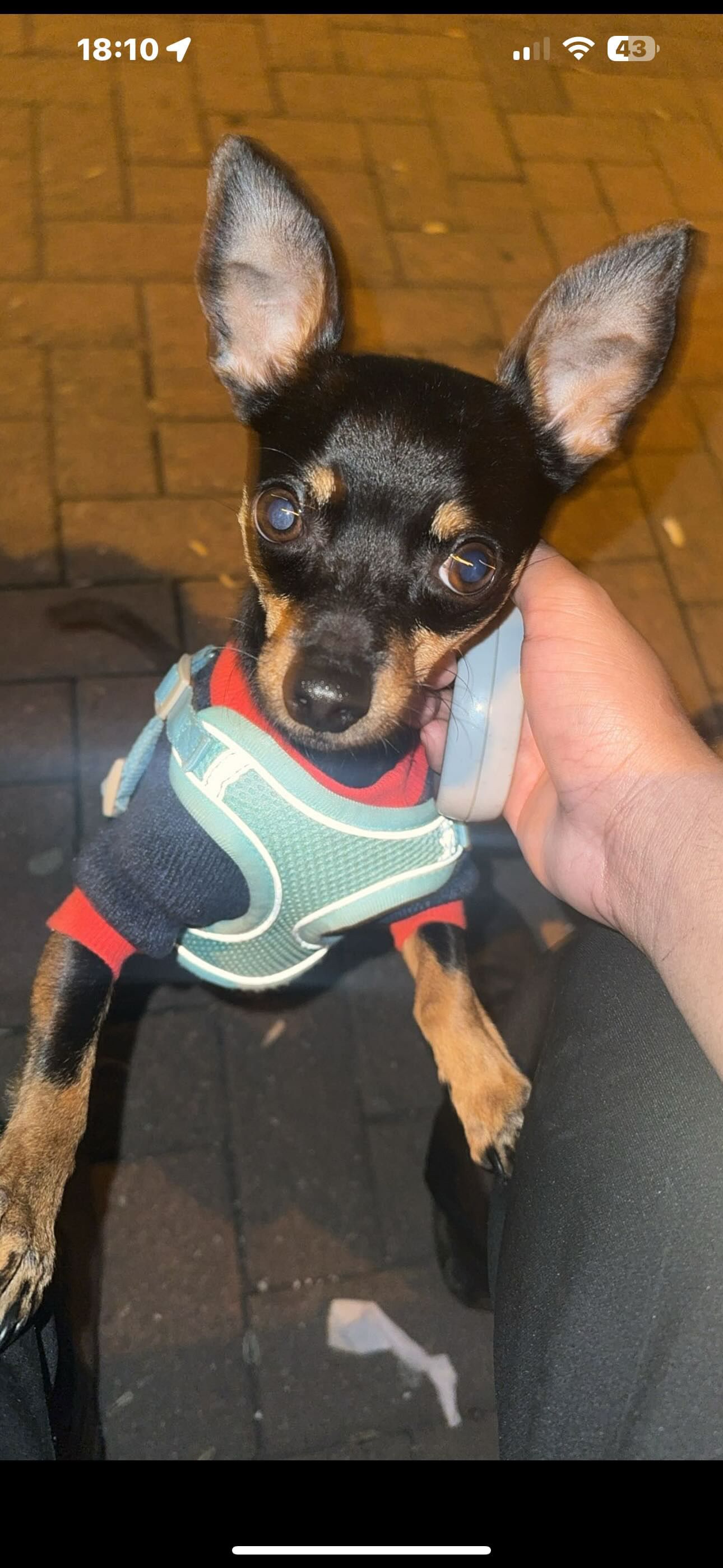 Jerry  - Wellesweilerstraße, Neunkirchen