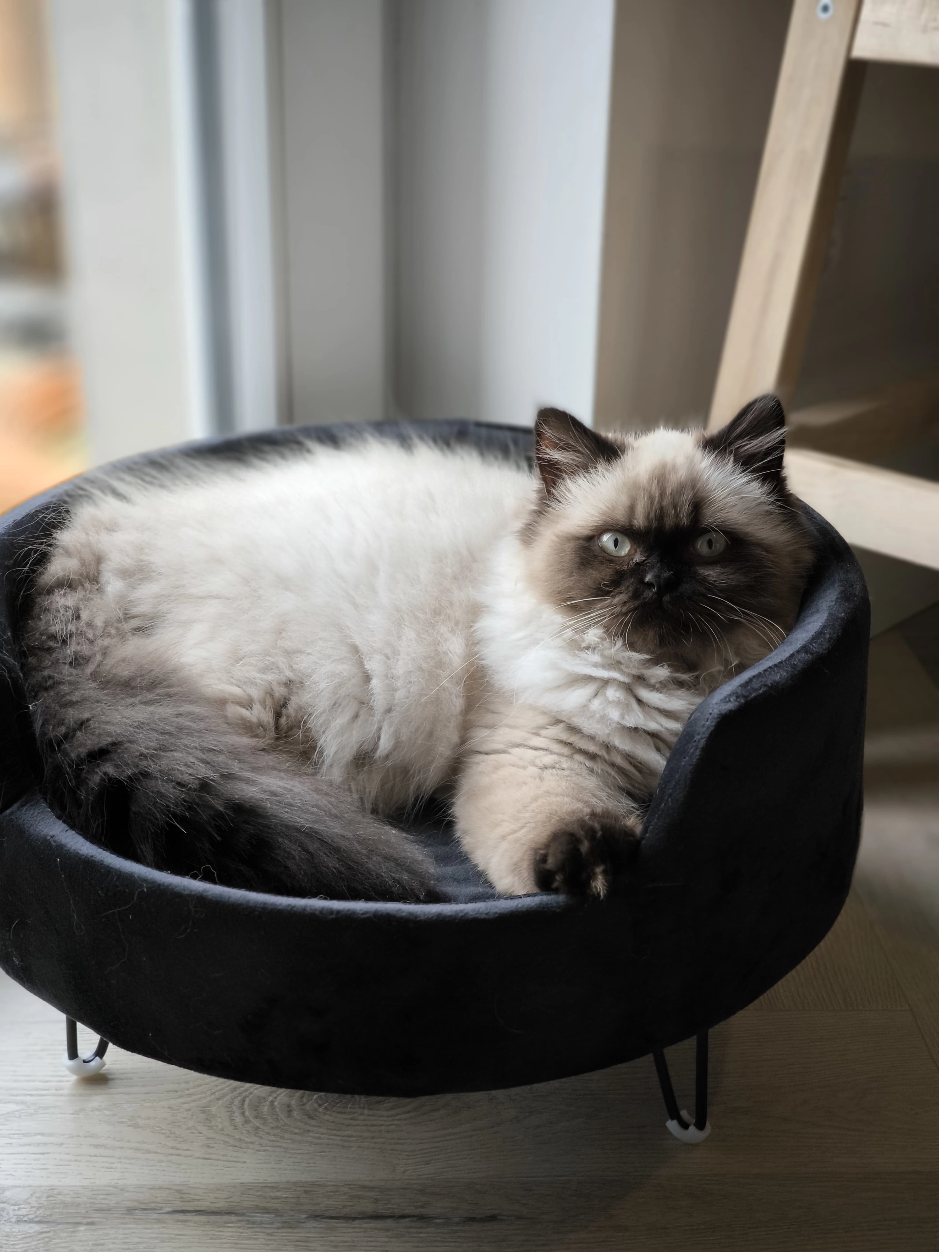 Duman - Grabenstraße, Dinslaken