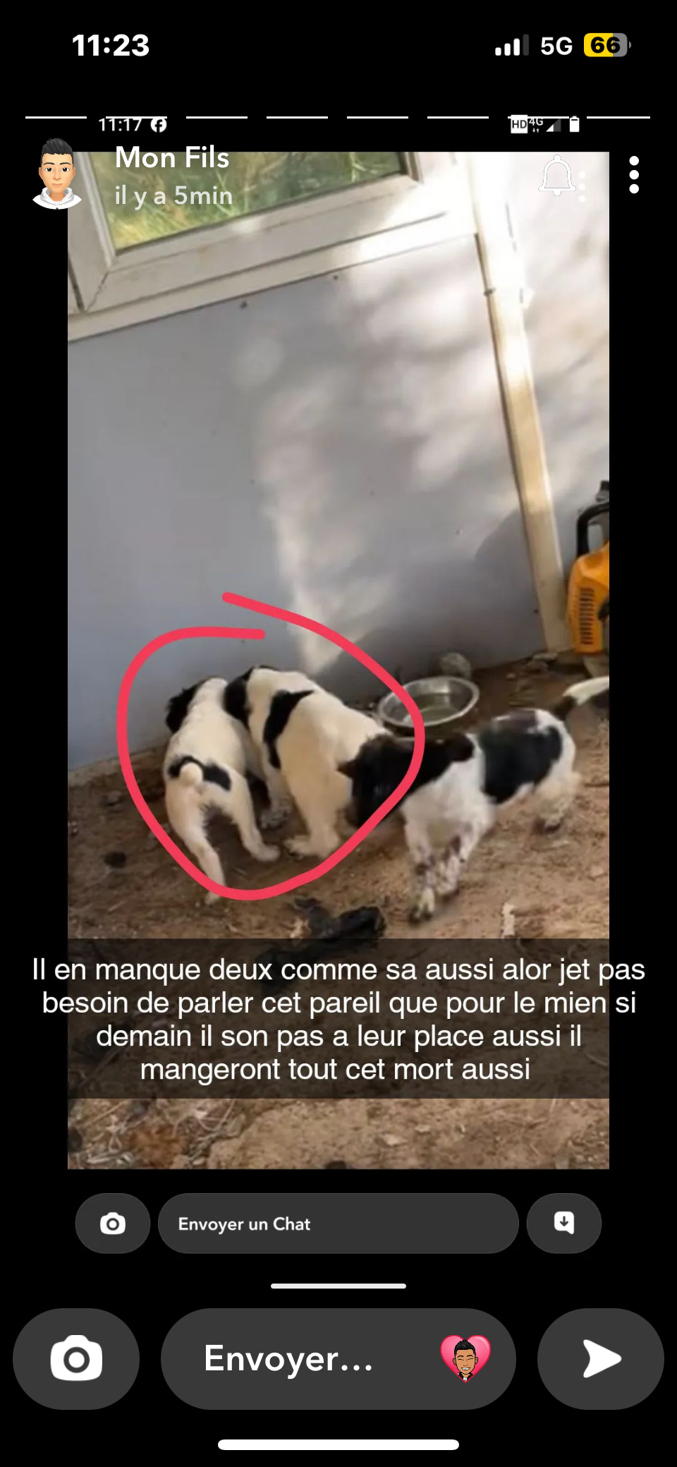 Tina oscar maycko - 11100, Narbonne