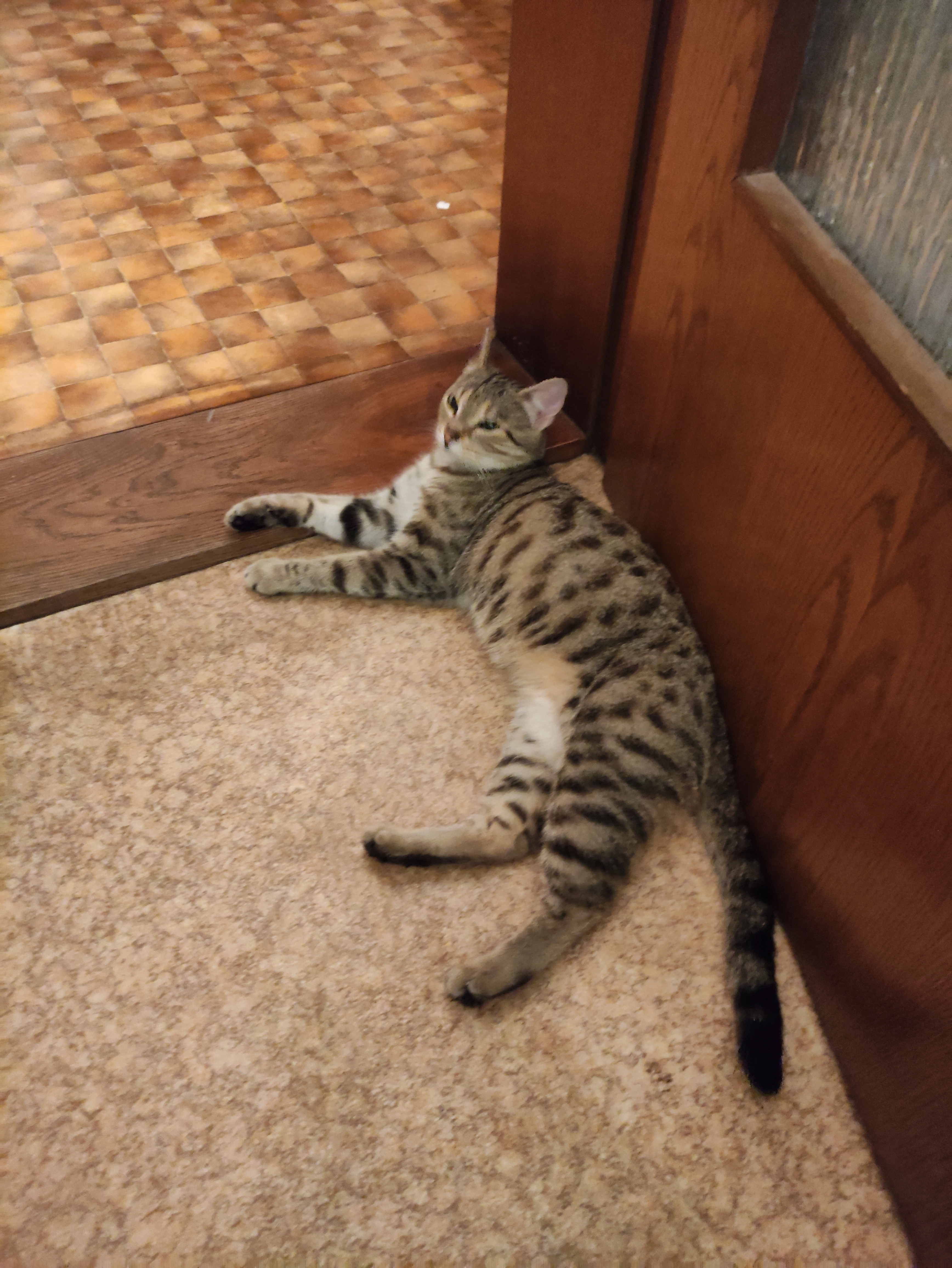 Kicki - Wermerichshäuser Weg, Maßbach