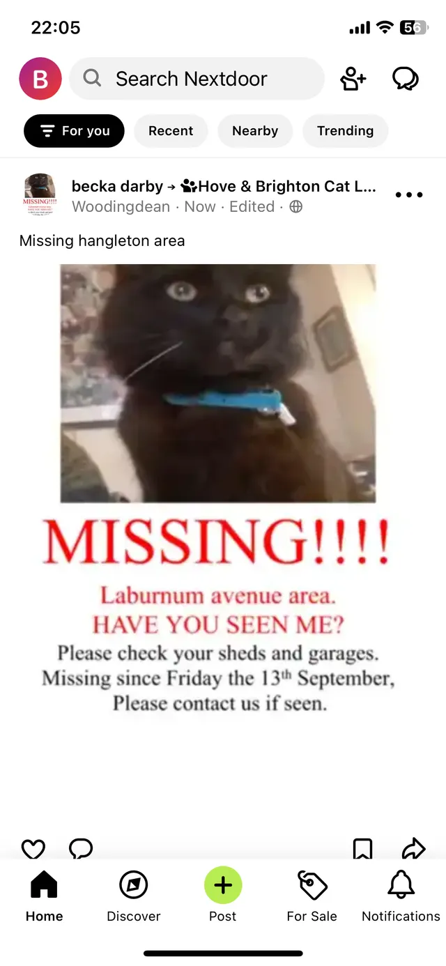 Asta - Laburnum Avenue, Hove