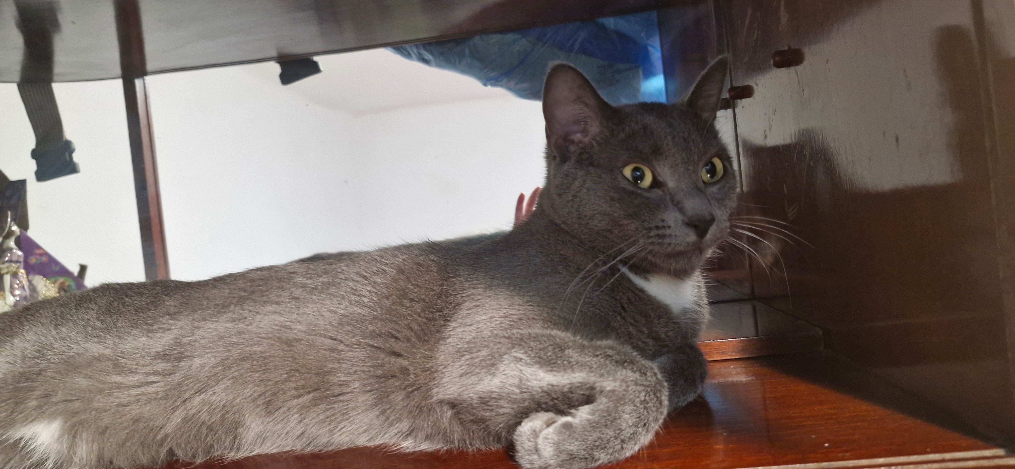 Lucky - Dj604, Castranova