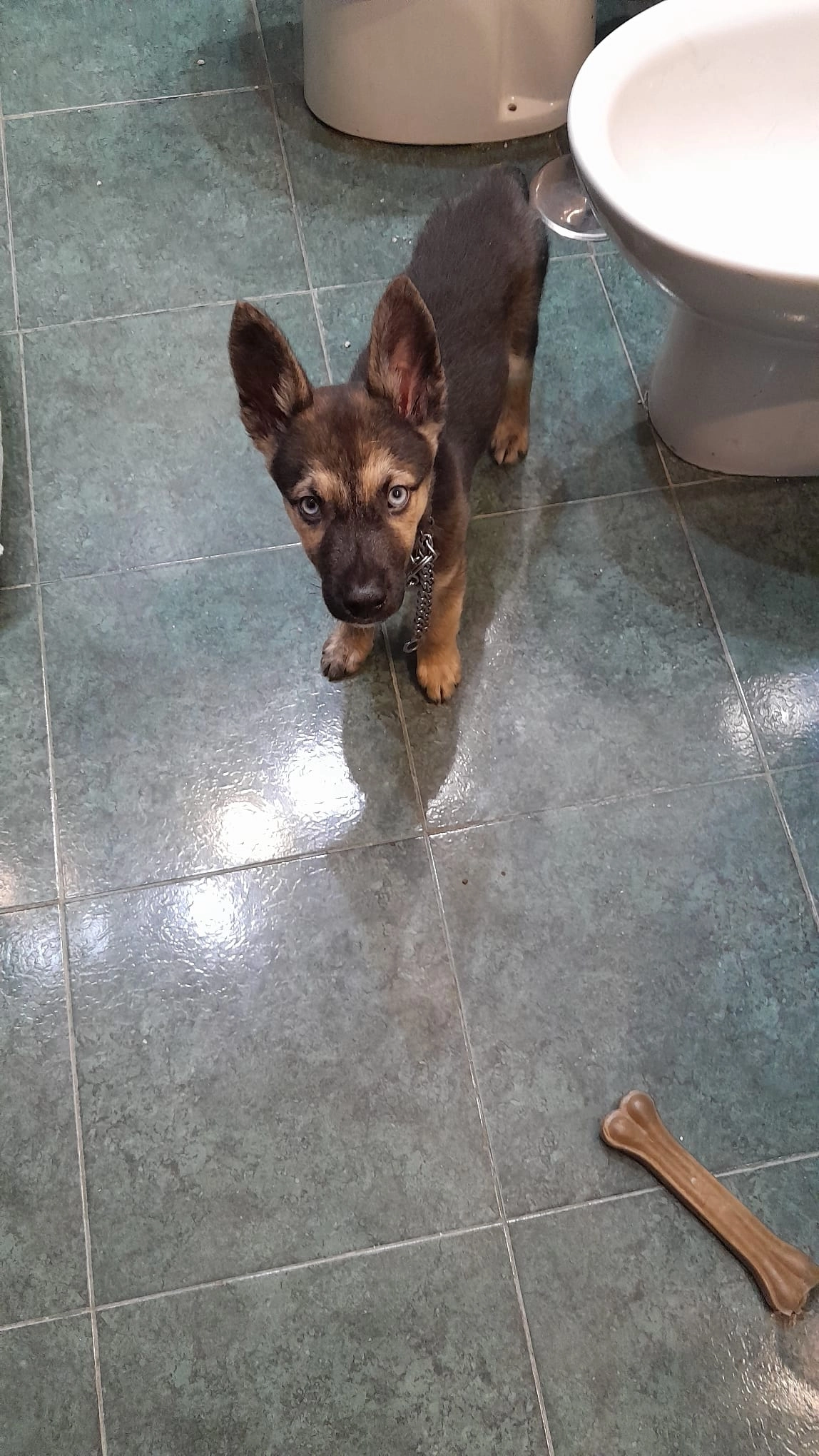 Turco - Grupo Parque de Miraflores, Sevilla