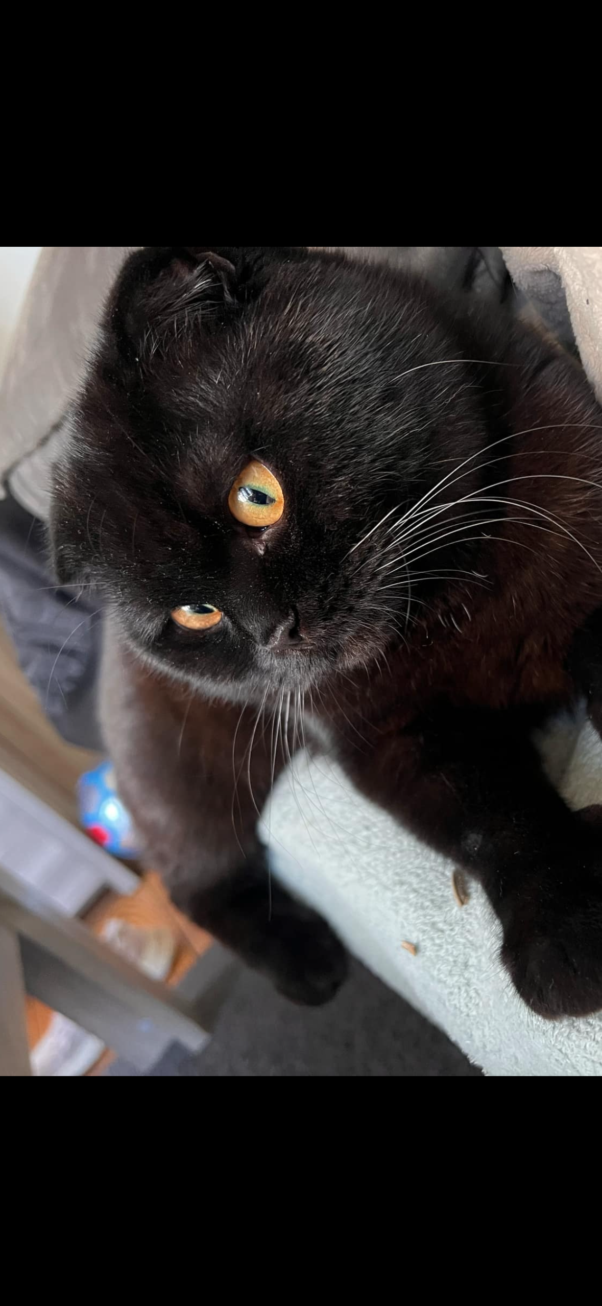 Babito - Rue du Docteur Henri Schaltin, Spa