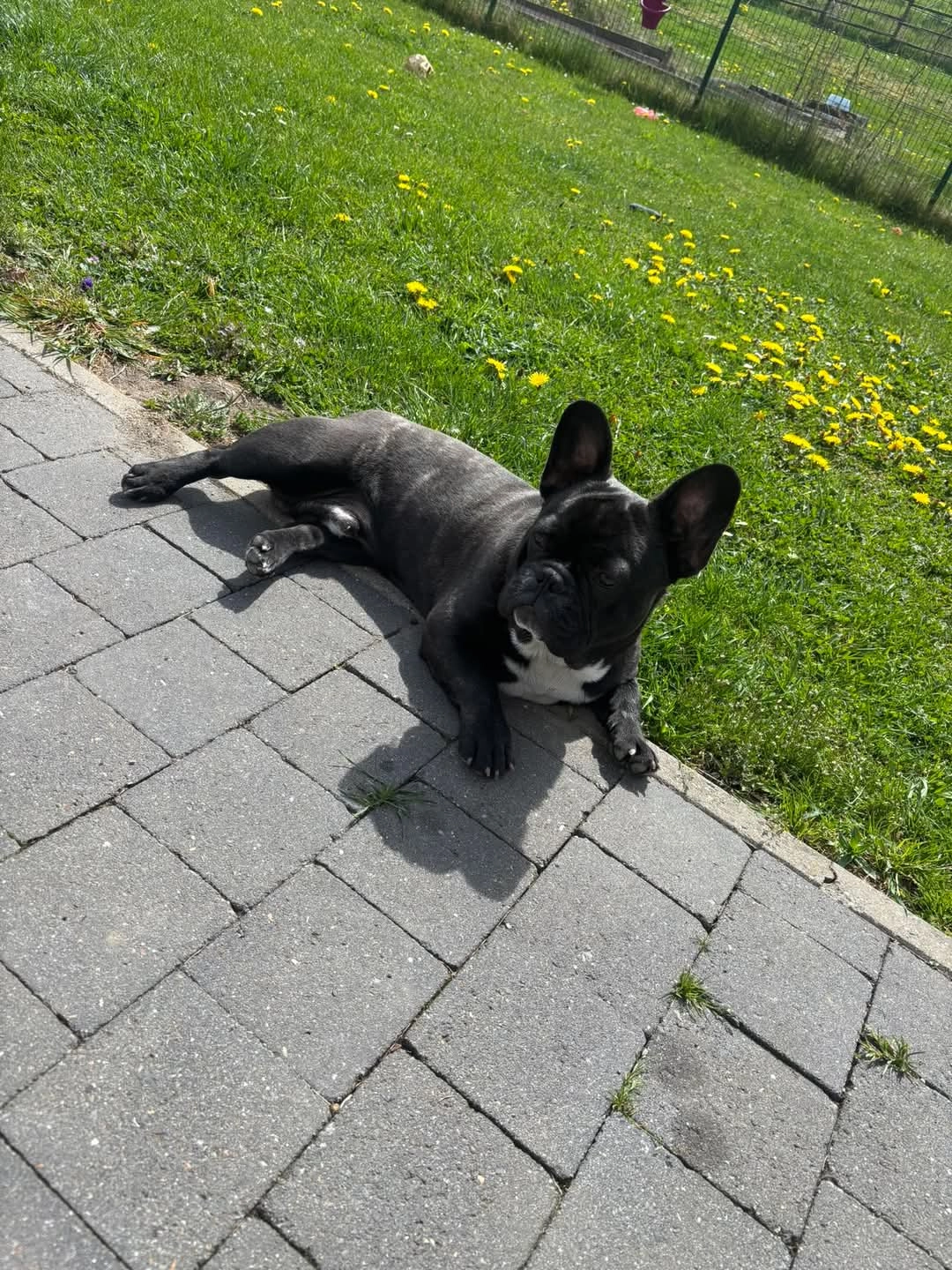 Louis  - Rue de Terwagne, Mettet