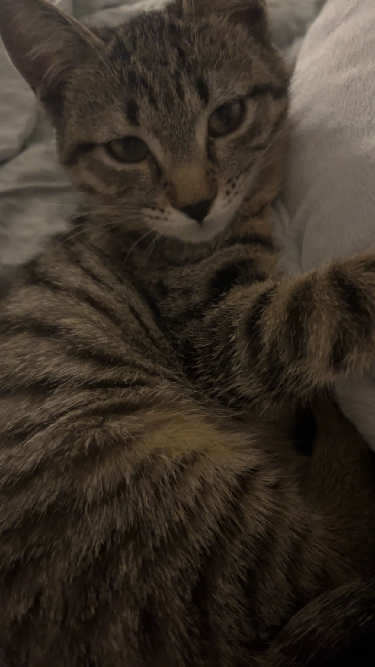 Nala - Ludwig-März-Straße, Penzberg