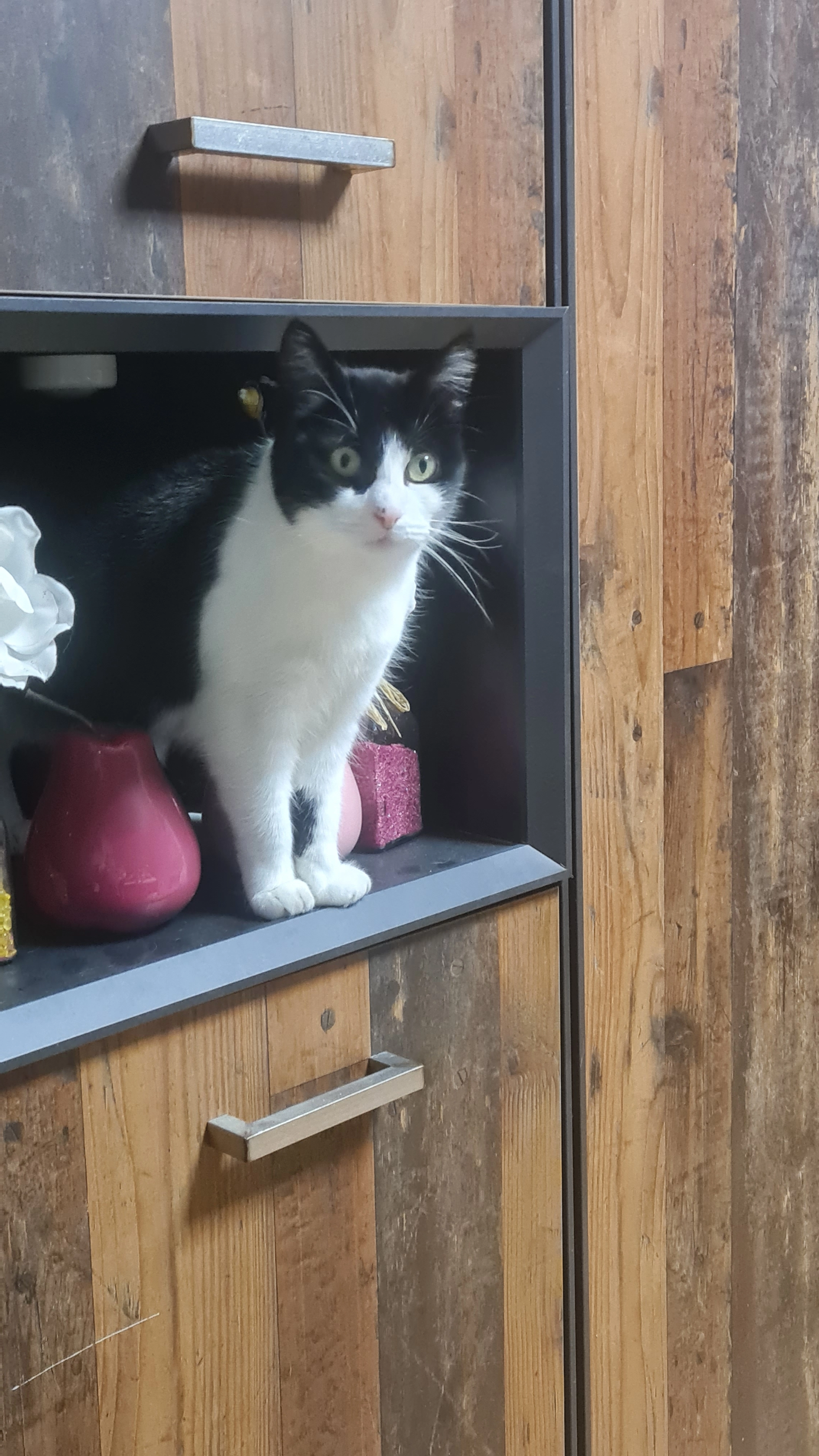 Minka - 31174, Schellerten