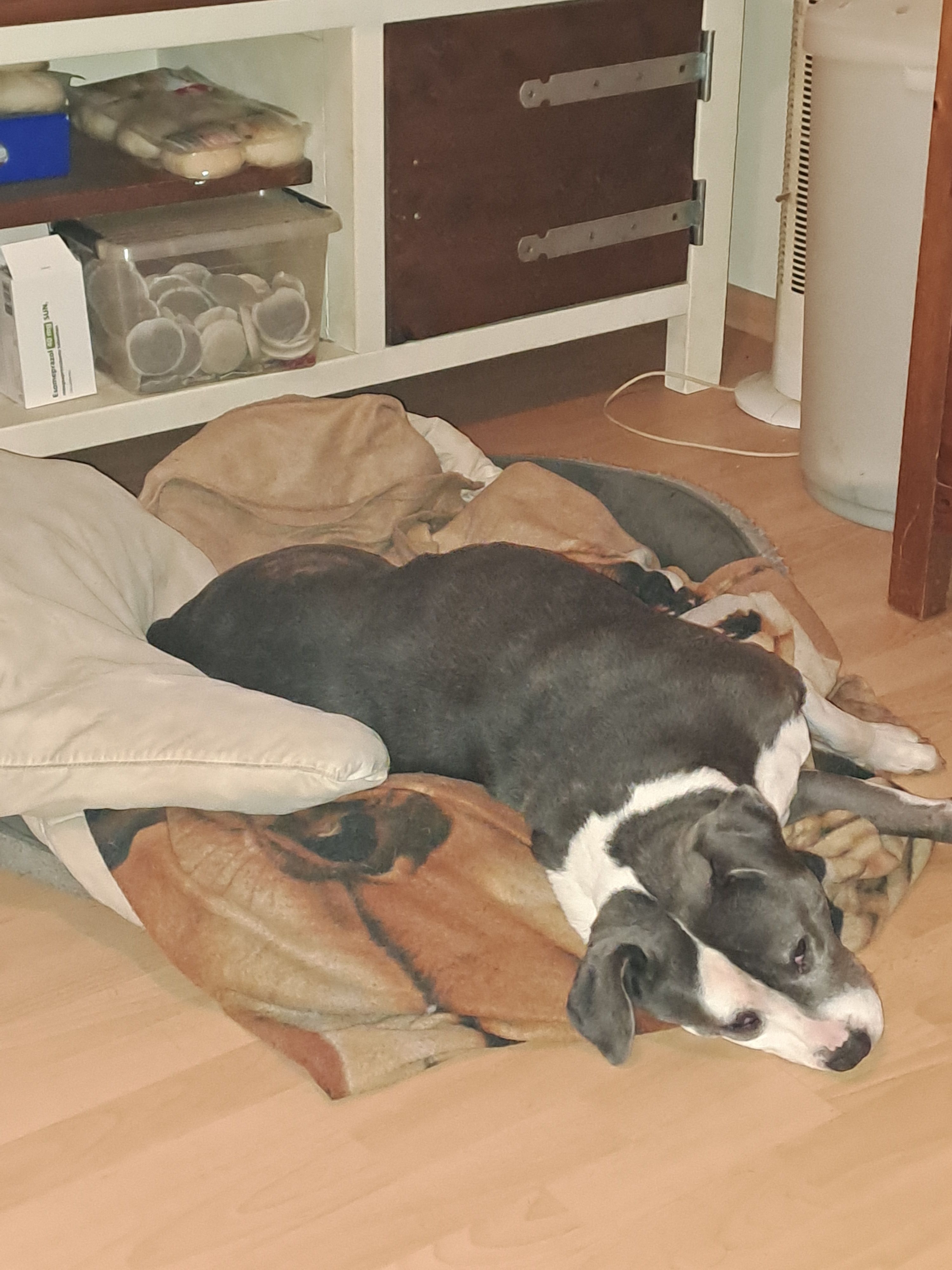 Blue - Batadorp, Best