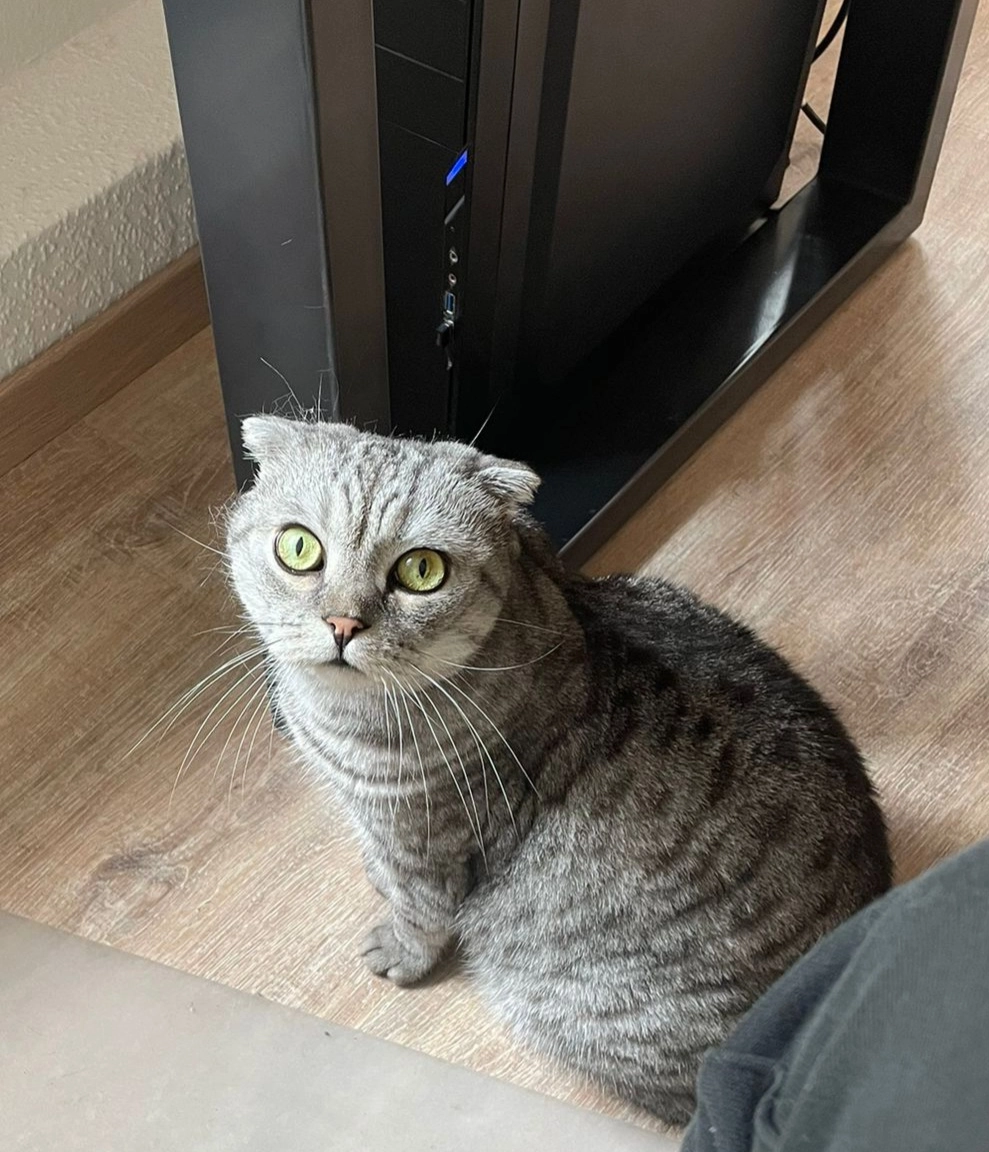 Adolfi  - Nieritzweg, Hamburg