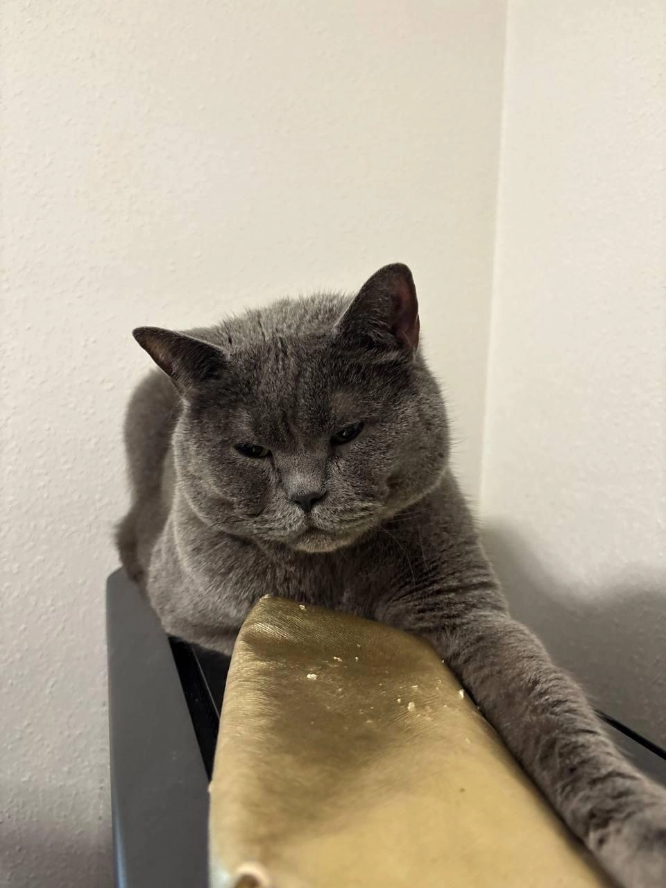 Ragnar - Carrer De Sant Grau, Montagut i Oix