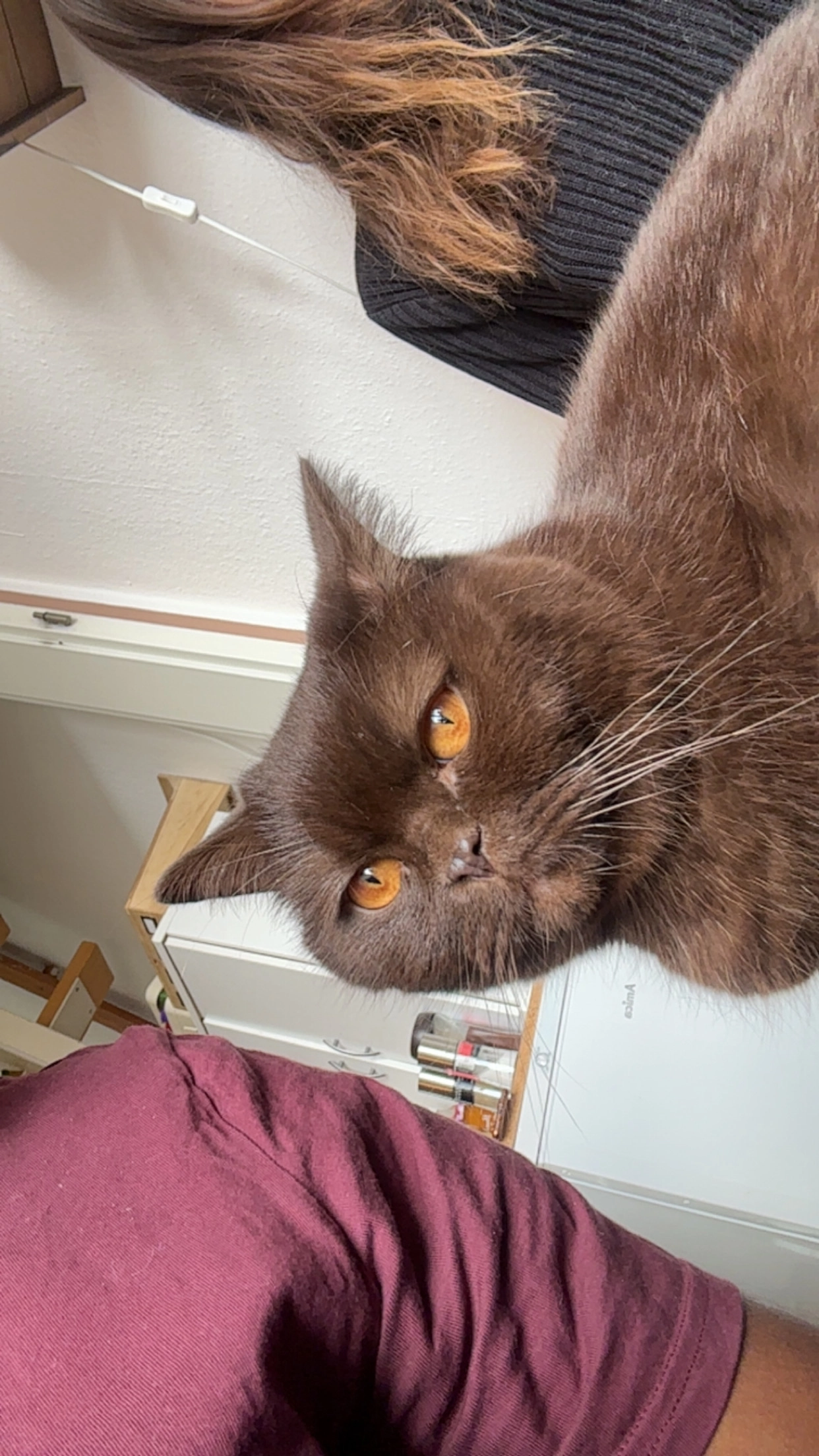 Urmel/Murmel - Ilmenauer Weg, Göttingen