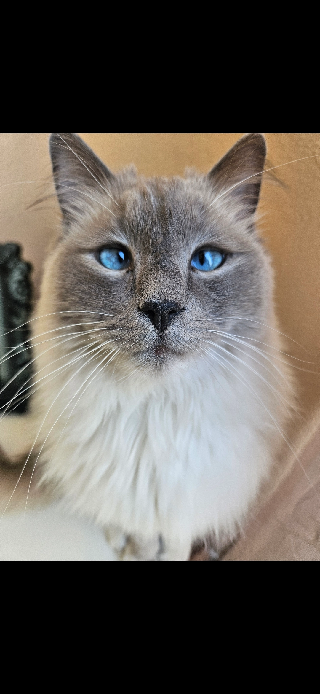 Royce - Veldstraat, Enschede