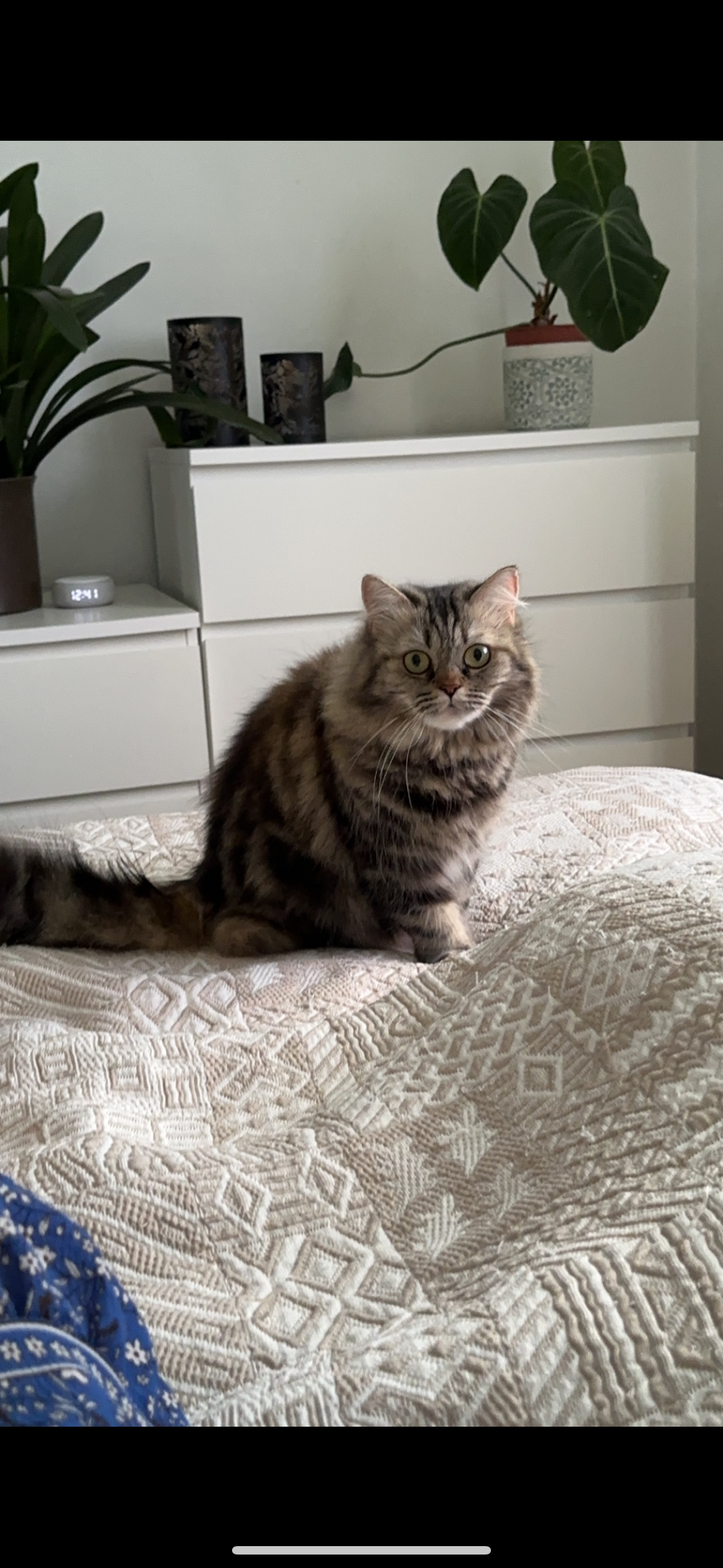 Nala - Heideweg, Lüchow