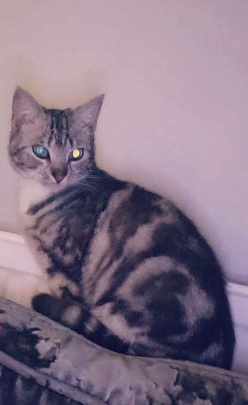 Cath - Lime Tree Avenue, Crewe