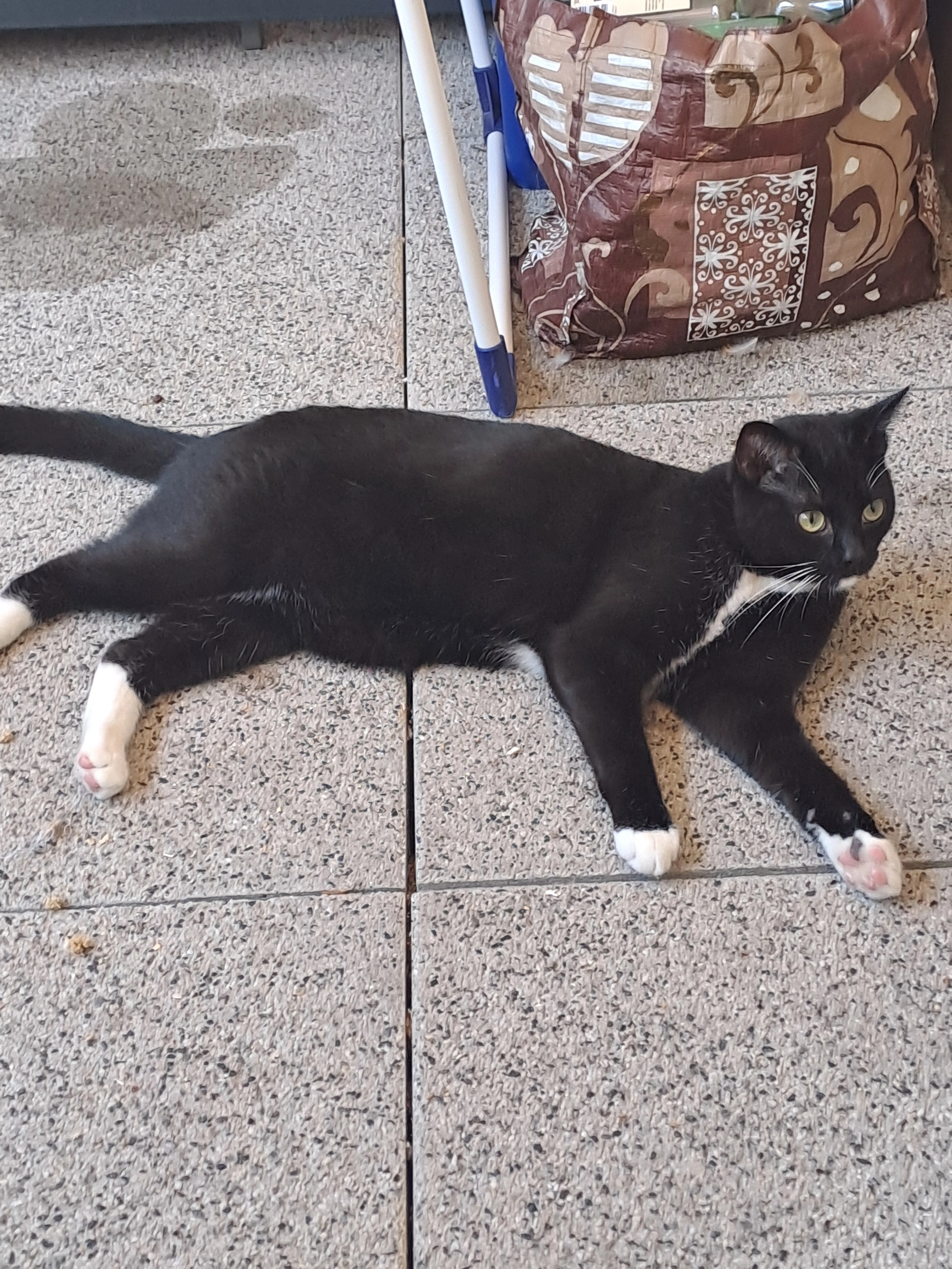 Silver - 21 Rue Nationale, Bischheim