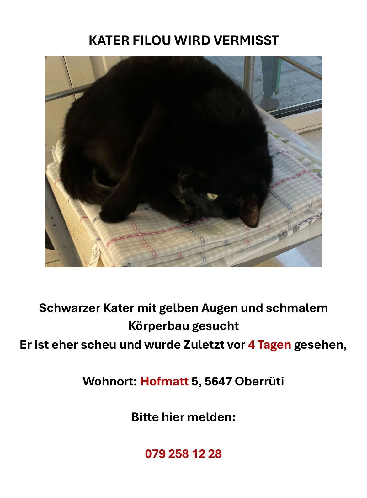 Filou  - Hofmatt 5, Oberrüti