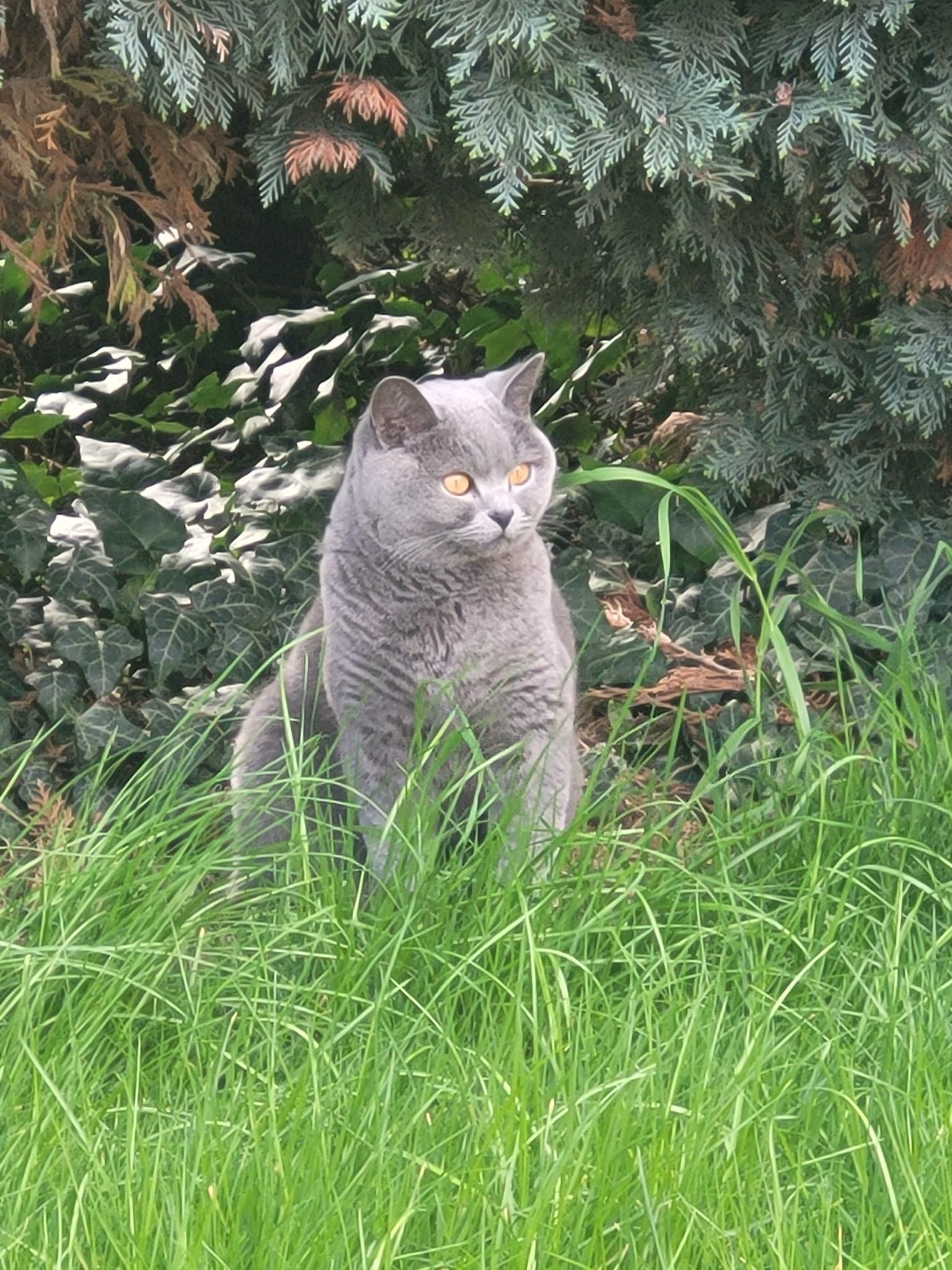 Kiara - Am Zimmerplatz, Söhlde