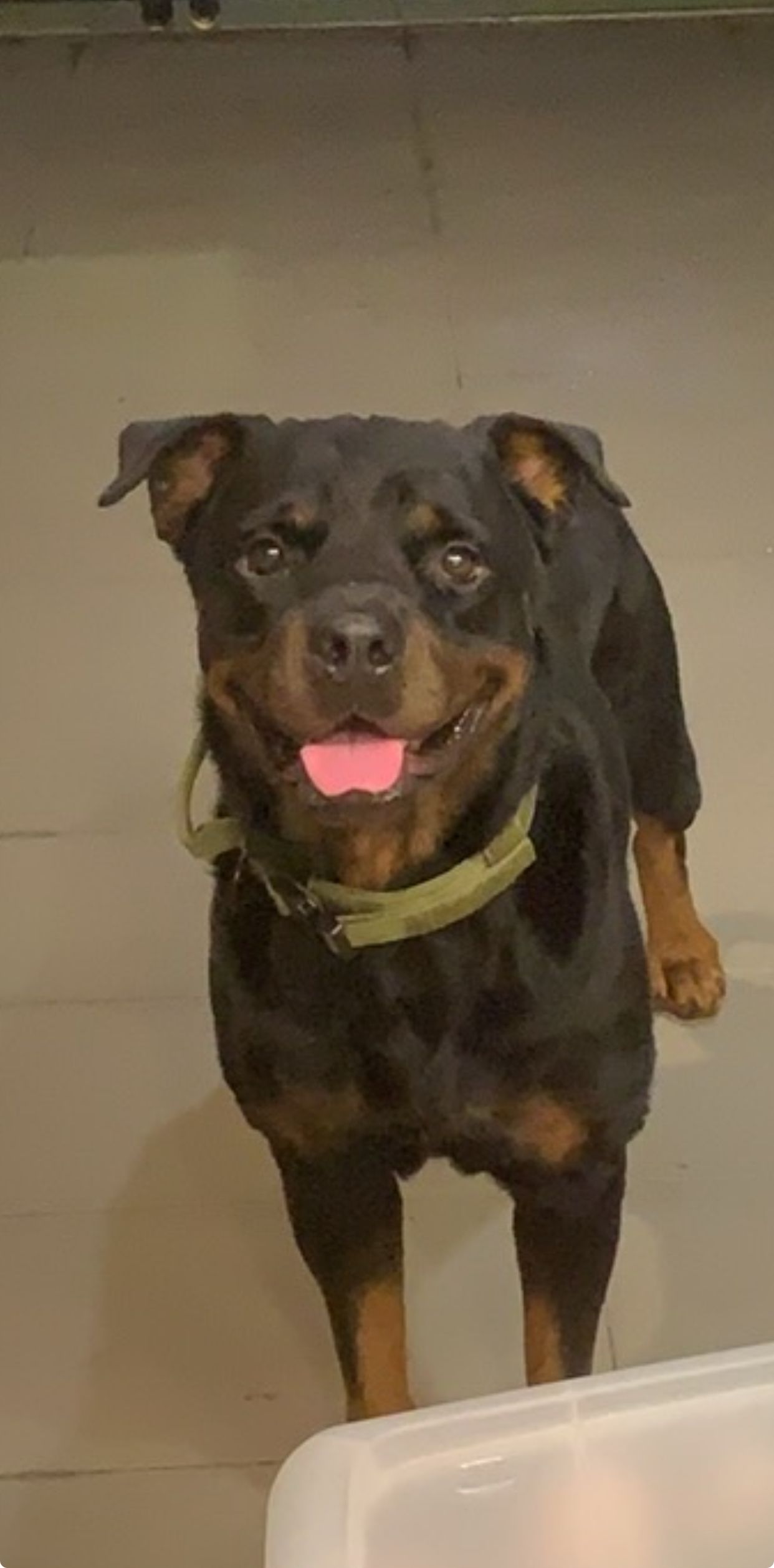 Enzo - 51200, Kuala Lumpur