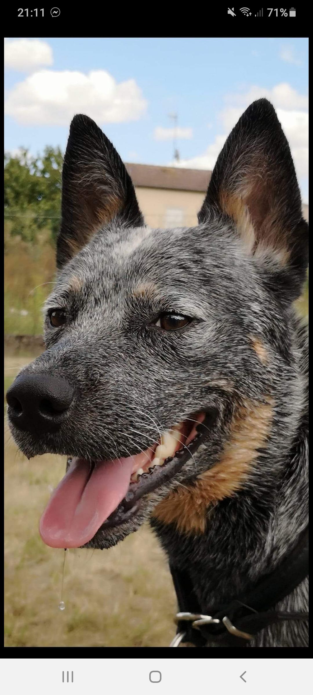 OREL  - Rue Clément De Boulay, Oëlleville
