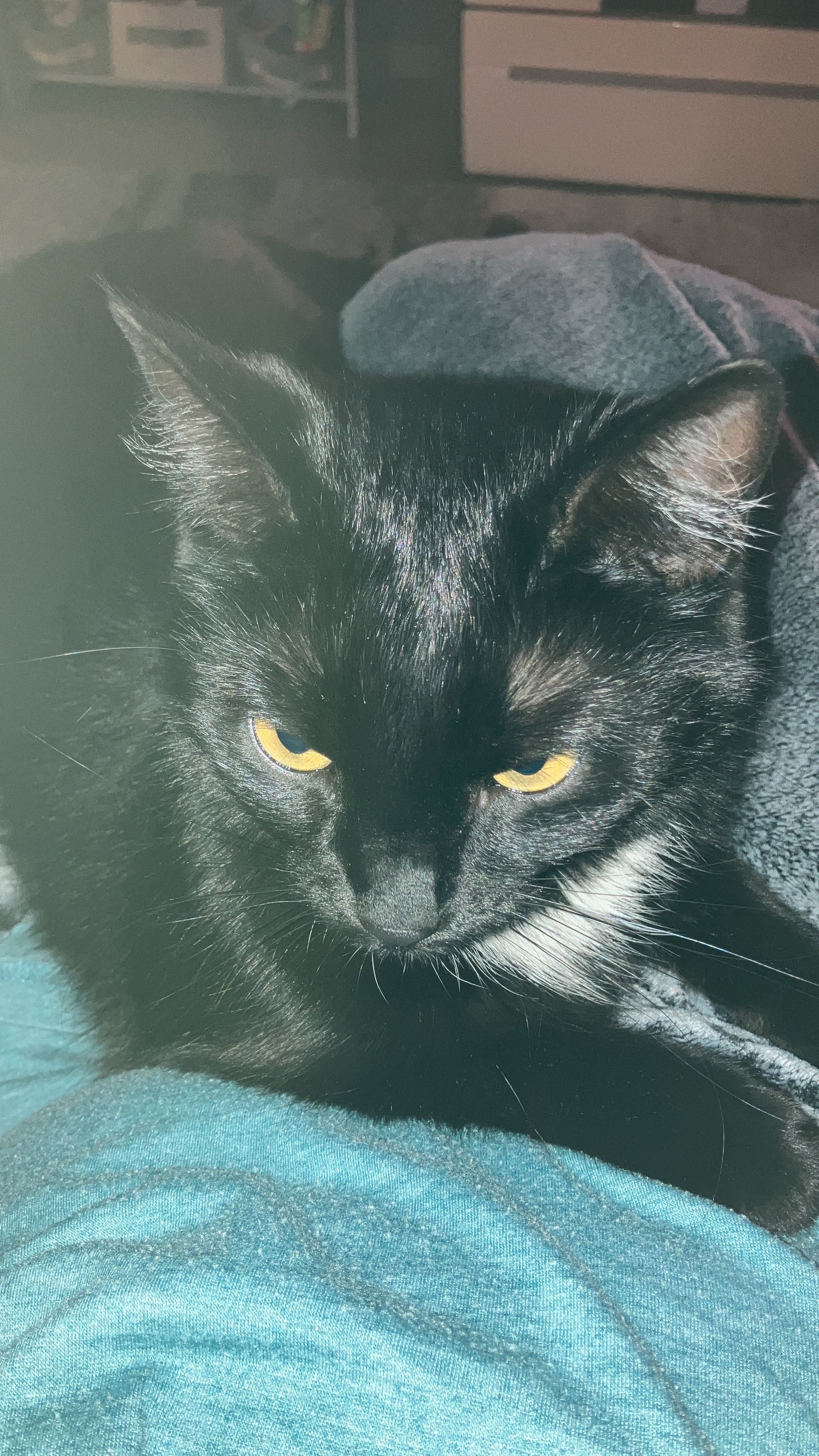 Susi - Schloßweg 2, Absam