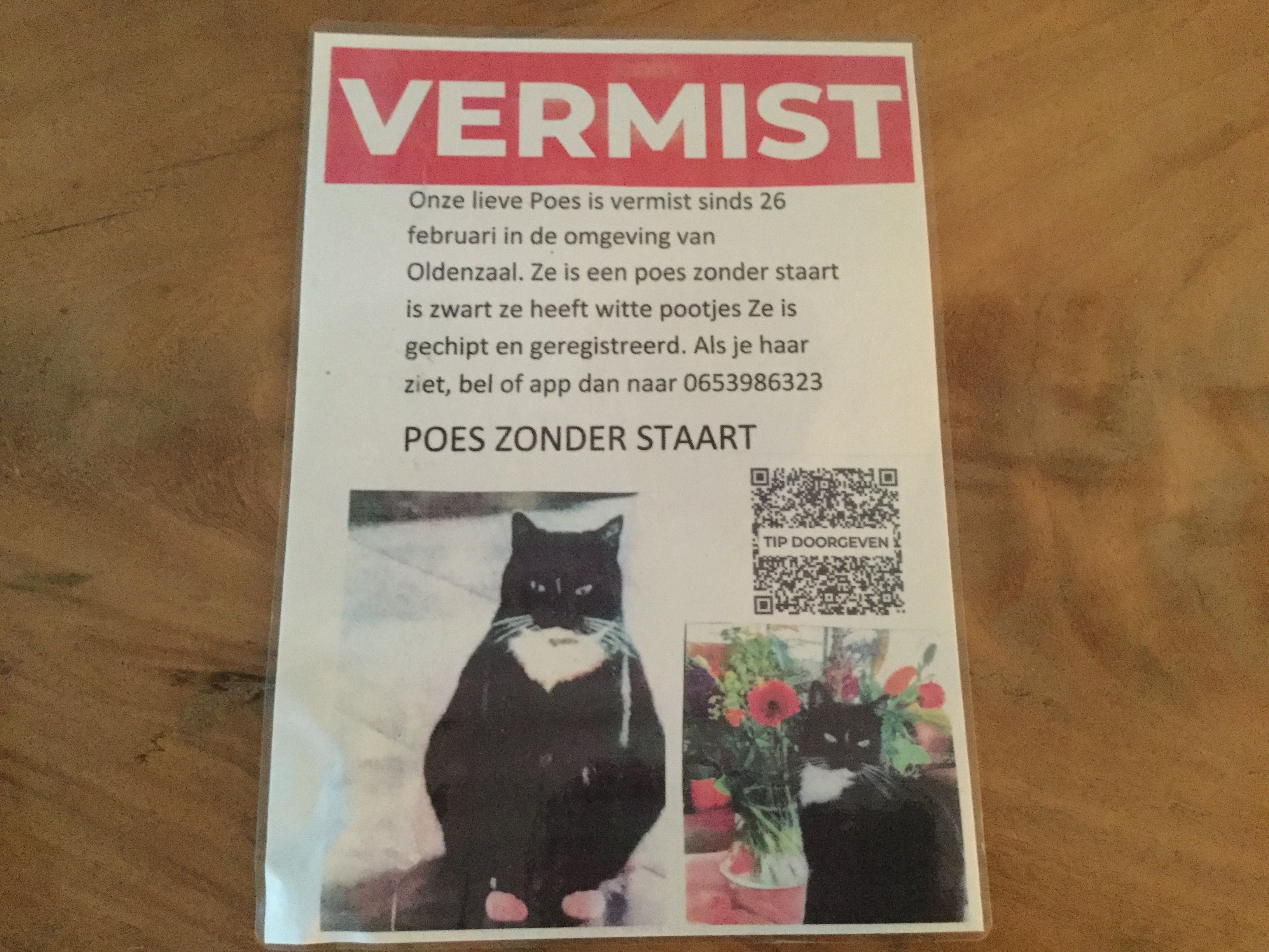 Poes poet - Lemselosestraat, Weerselo