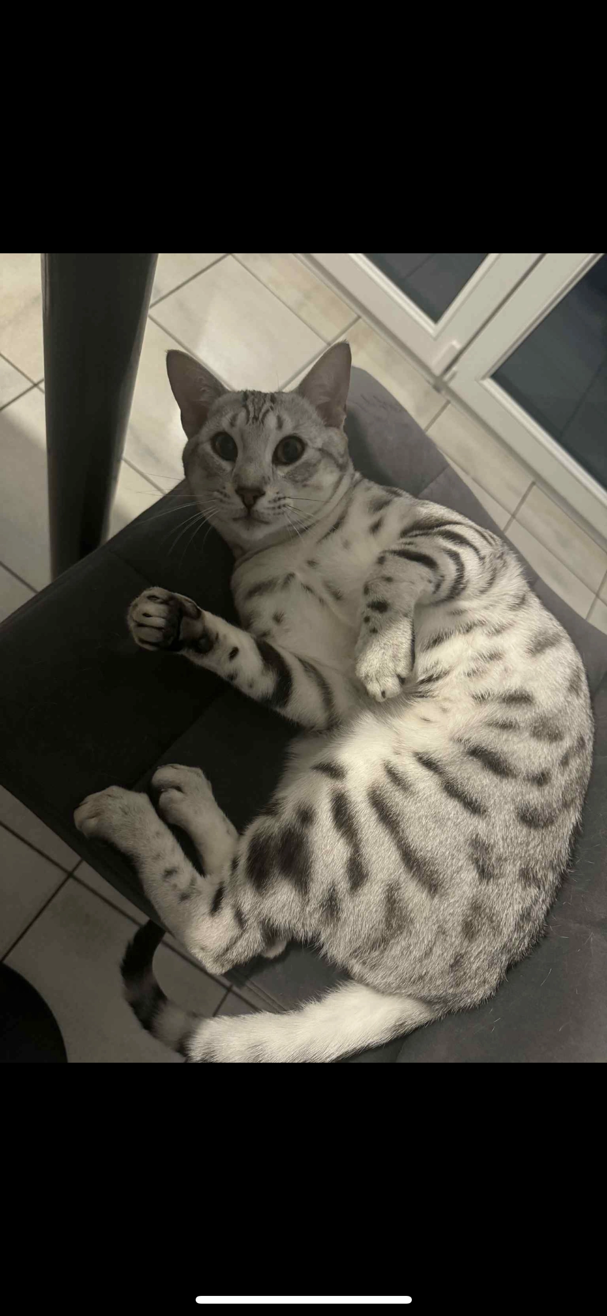 Zephyr  - Rue De La Fontaine, Blégny